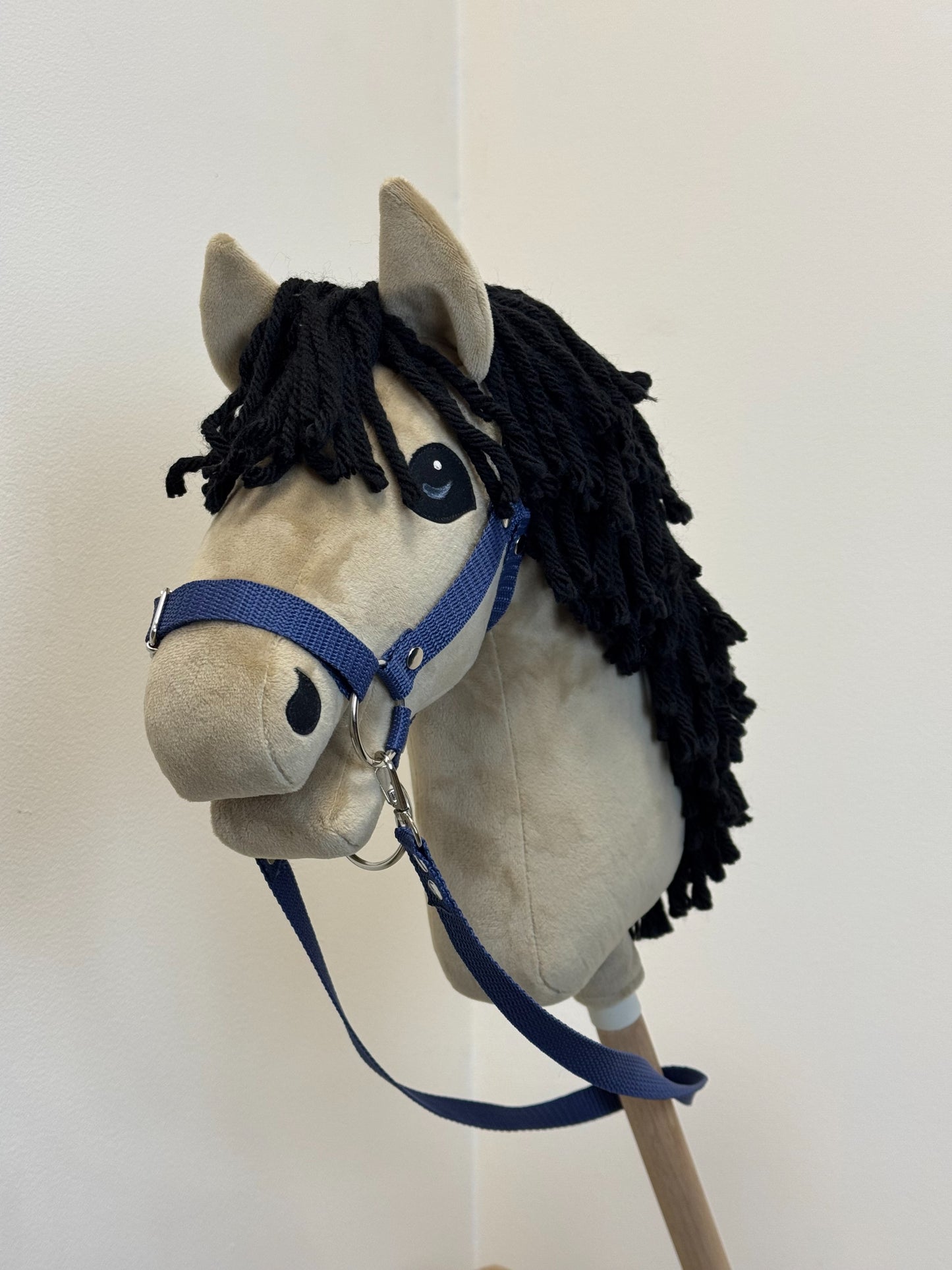 a7628559b03cd0c0ab03ddfe9c2a0526