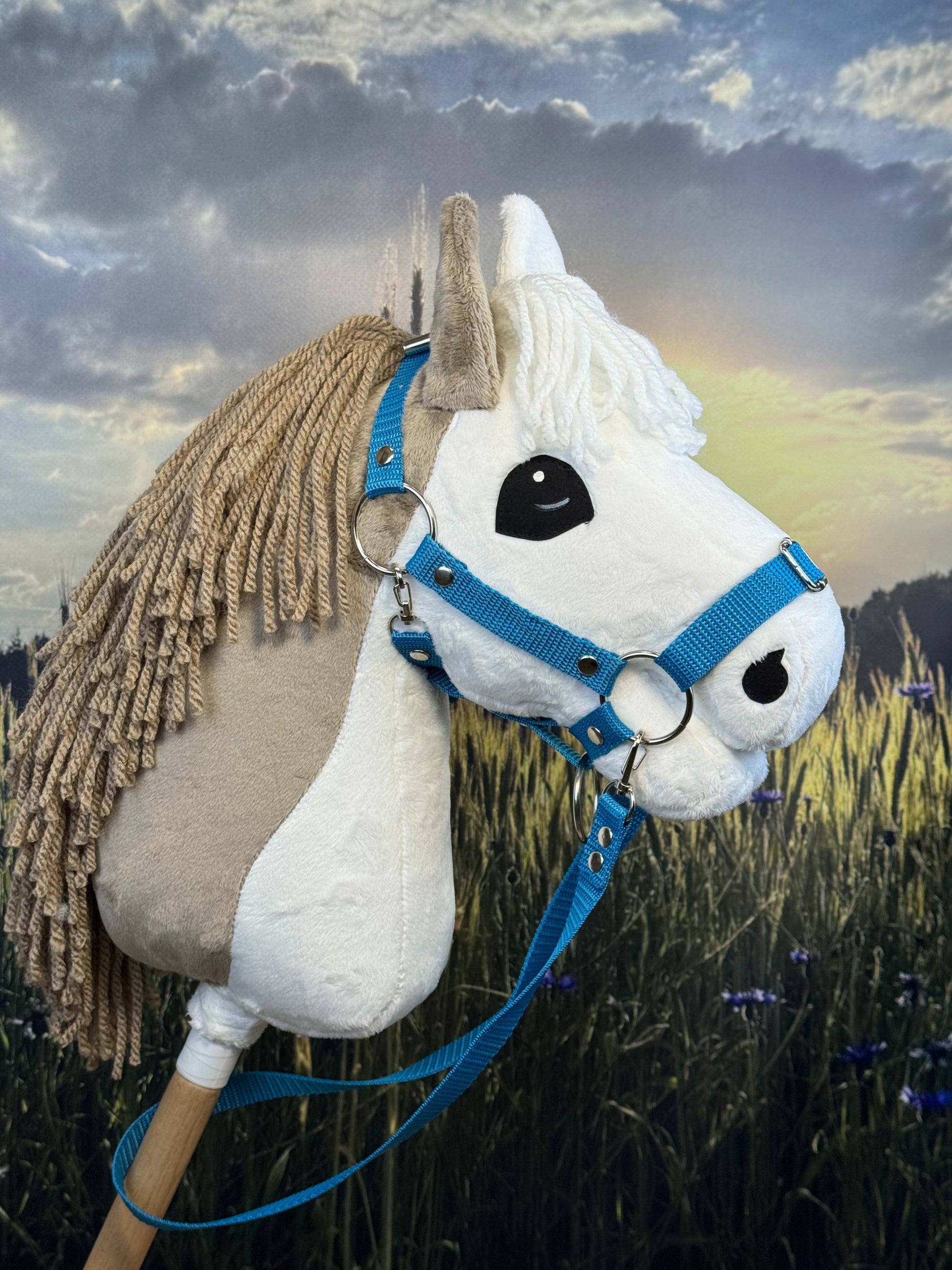 03c9f29c56b70057fbe1a219b0278fdb