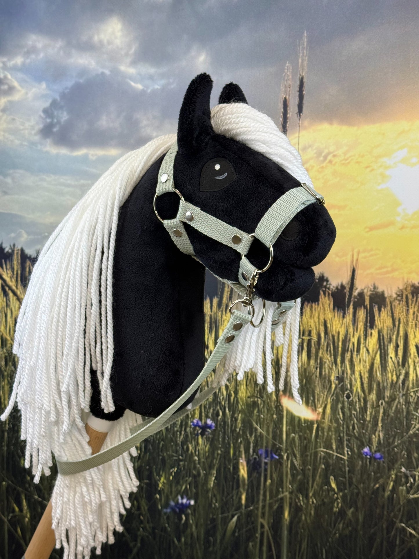 f5d49c33c6f0631a2048726a04af303a