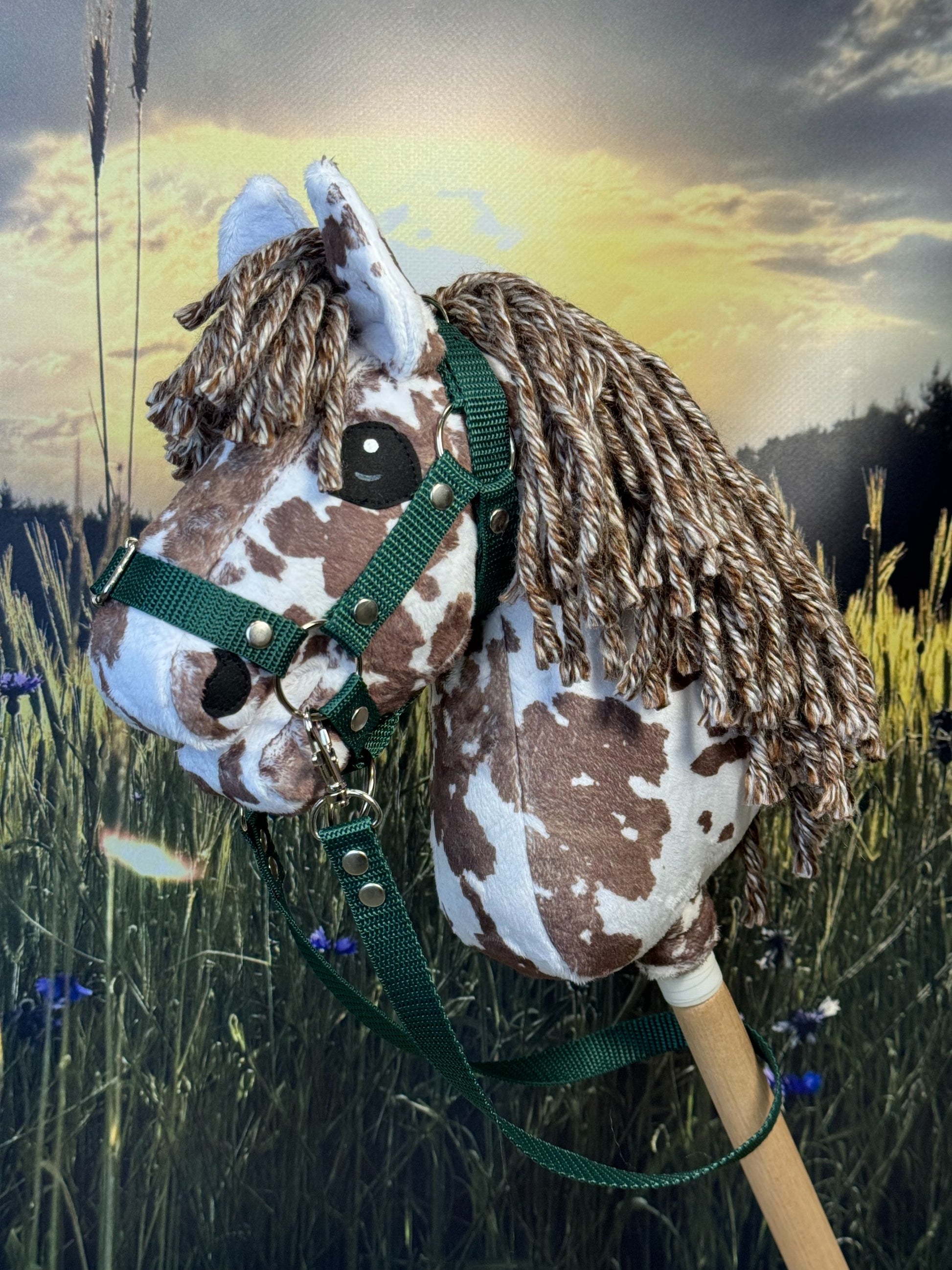 a5b0f9fc26bb657f4e0cabb30a7b8e3f