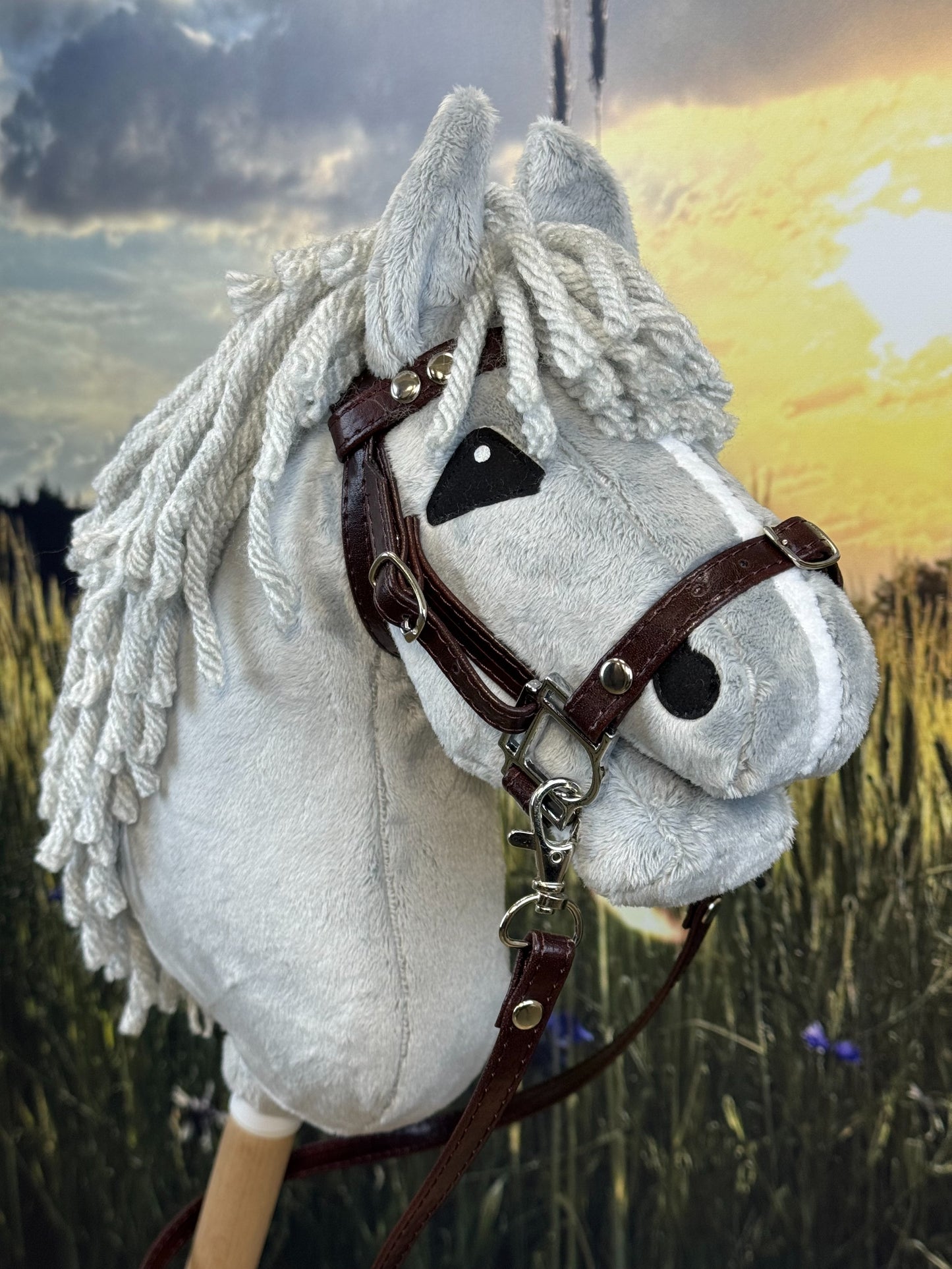 9541decc4e20e0359271a20435fa85d5