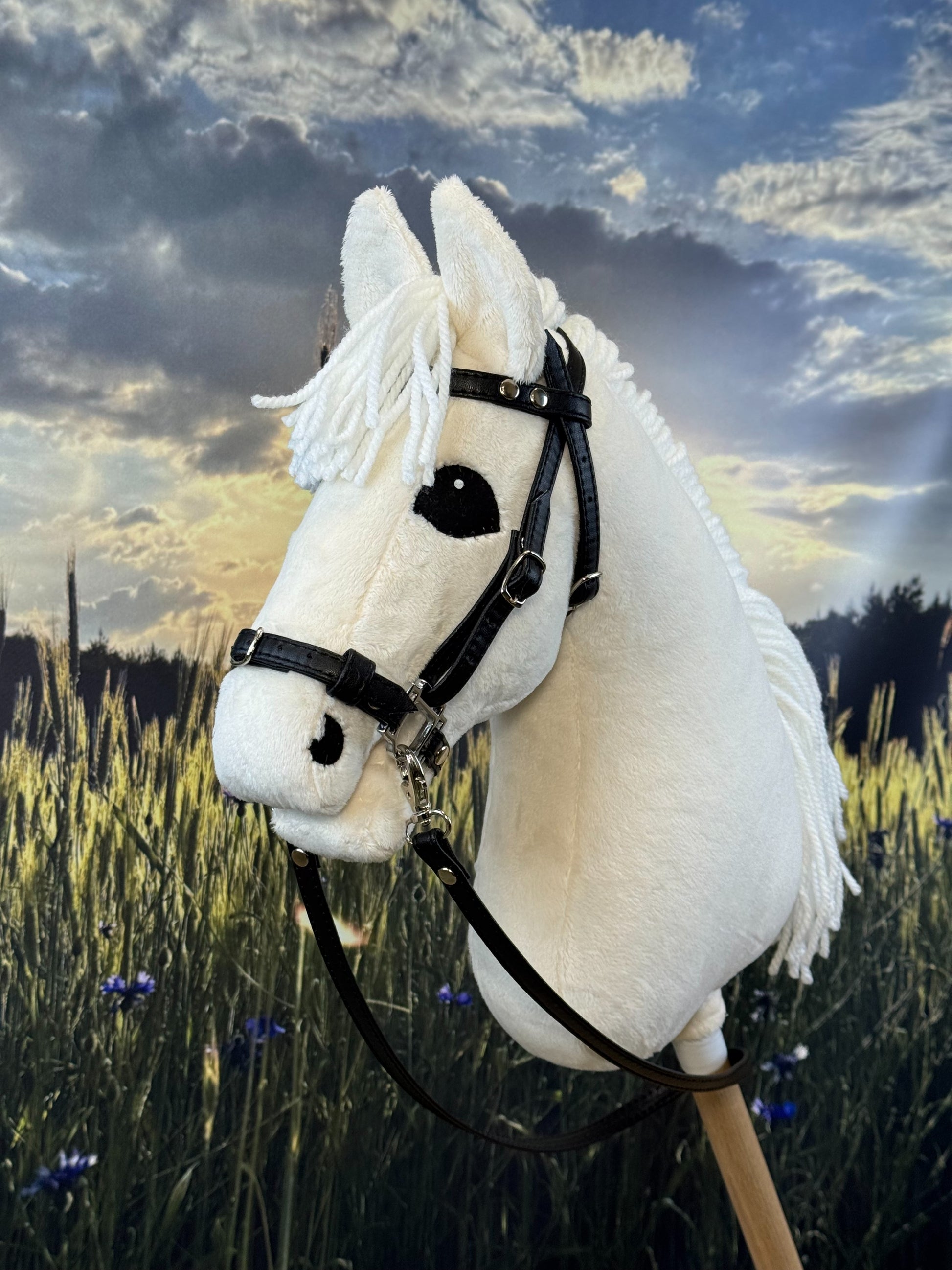 32ff0cf16ab9b9f61dd63951d3c8ff93