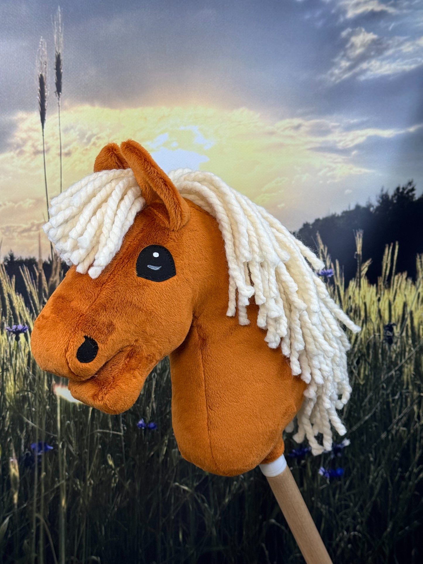 f27d767cecb1736a40374a384f13e25d