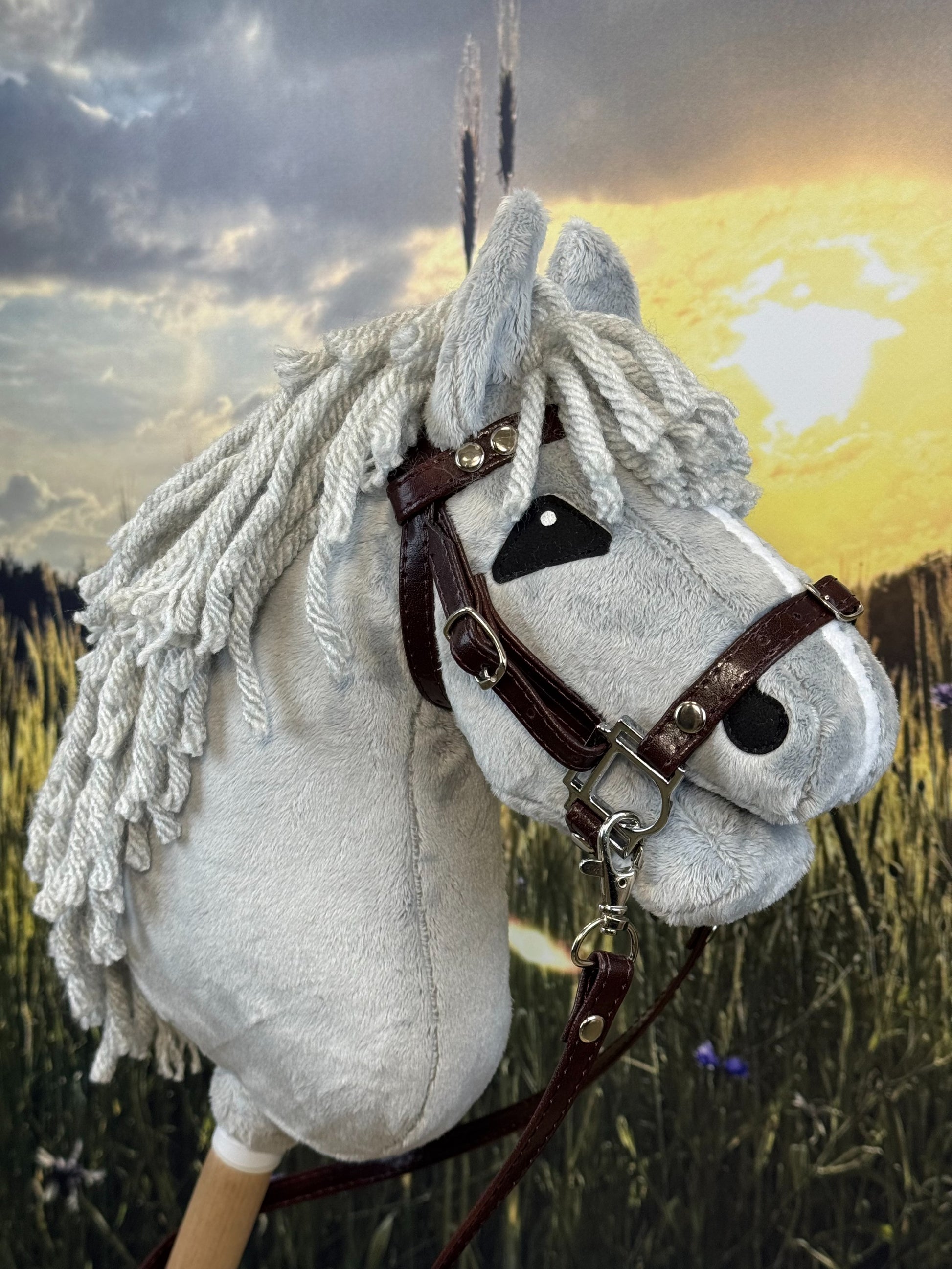 00409f90076f699f081ad3d7d69ae13b