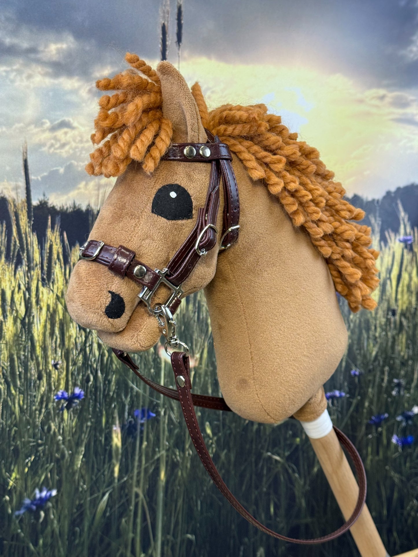 fb8acda7ec3cafe54ad953f904e85968