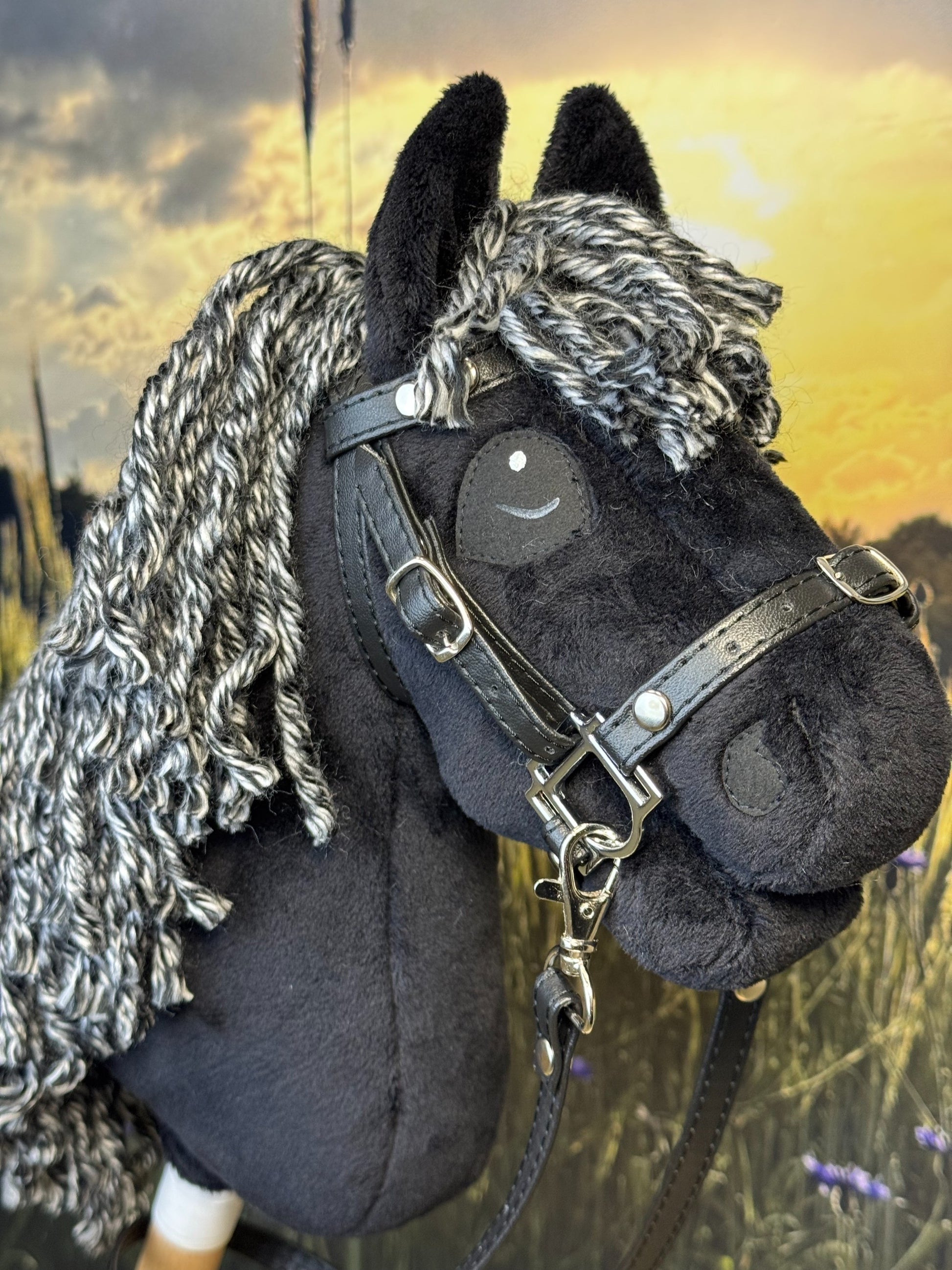 c499b26520af33e14afd4656987e60f1