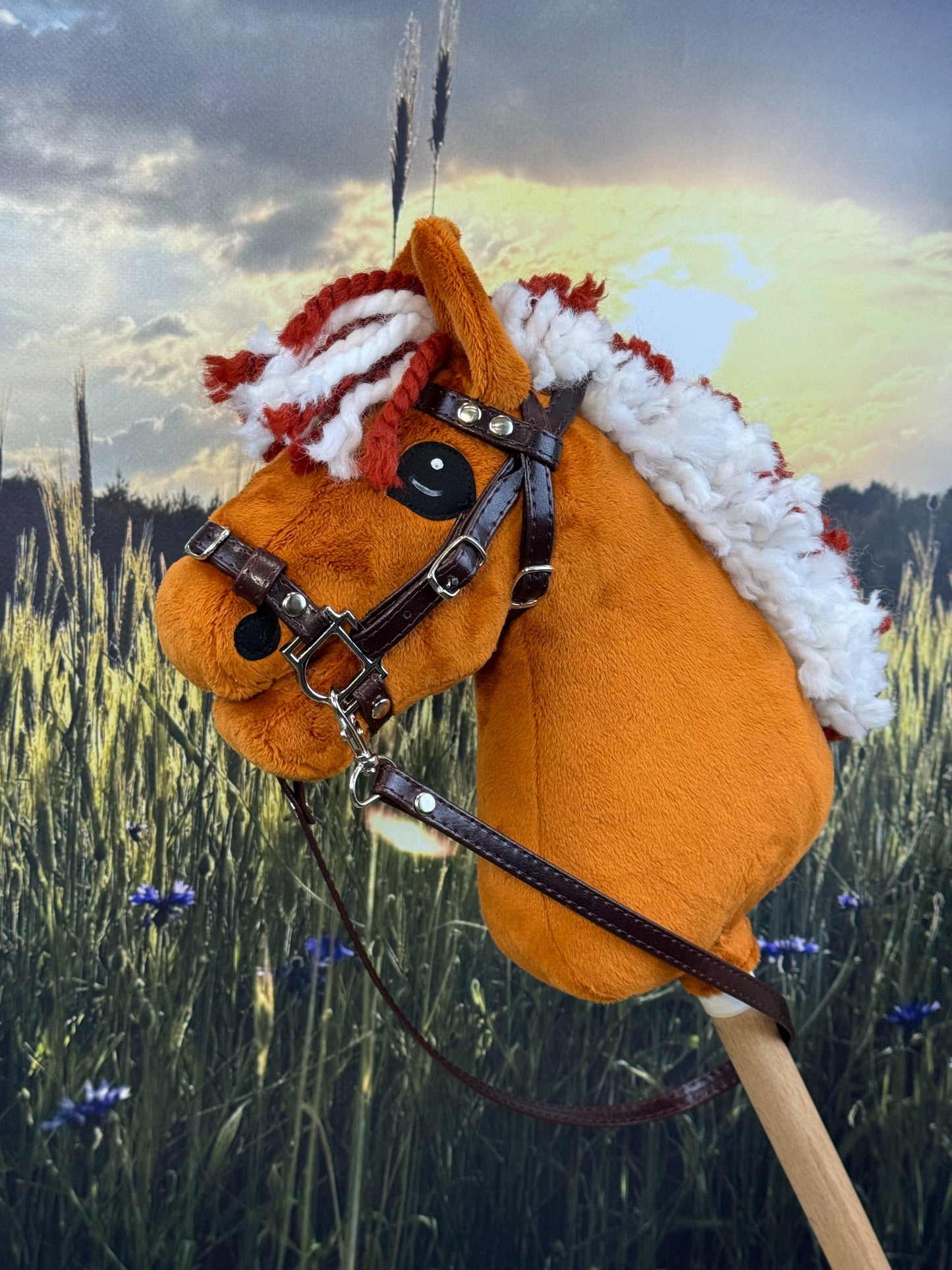 91aff59d86ee6444ea771dc375db0de1