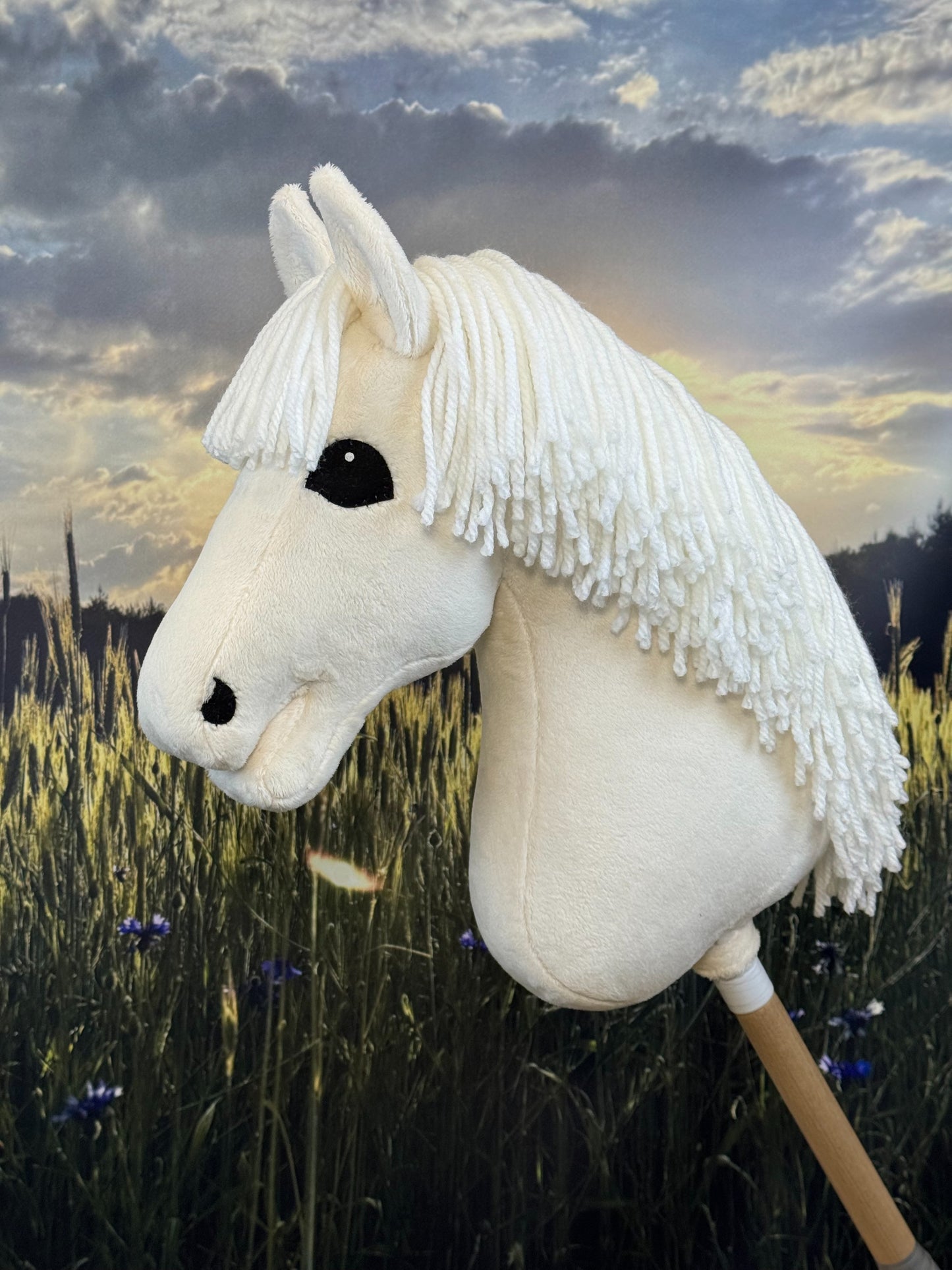 6e16d5872e2dce0d80e7f91a68e26772