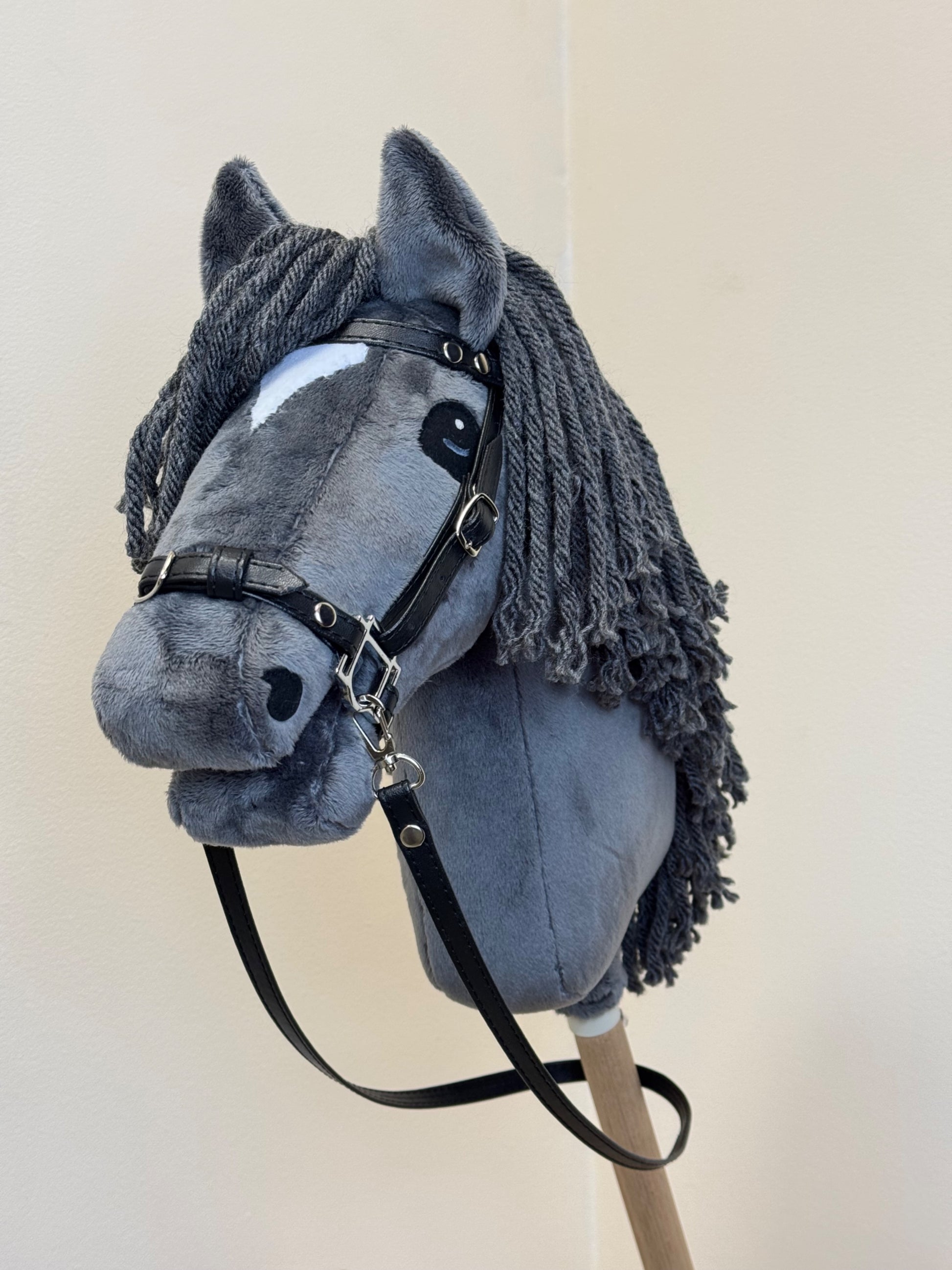 07b7dc4d261bb8f00c0424c89194ce24