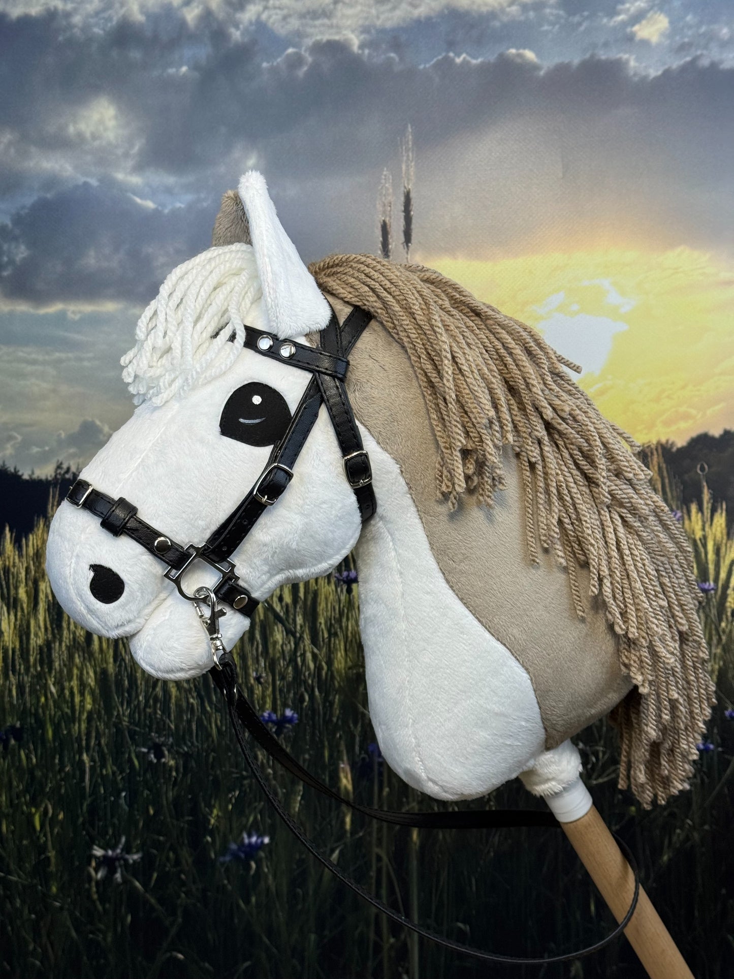 934ca2db84d408fd93a5236fbb4b7814