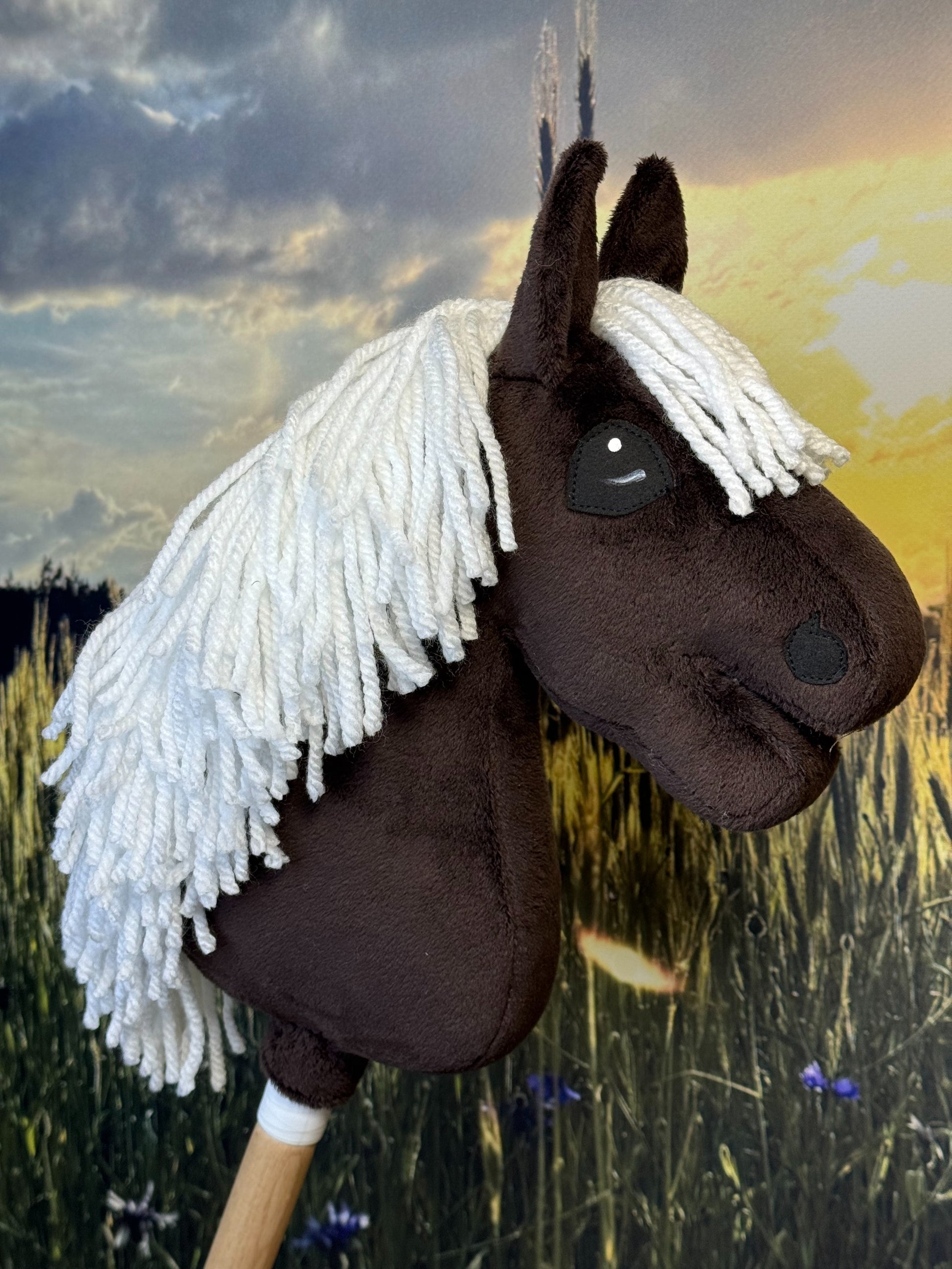 68958a5d33d5641ff2796f3400683d24