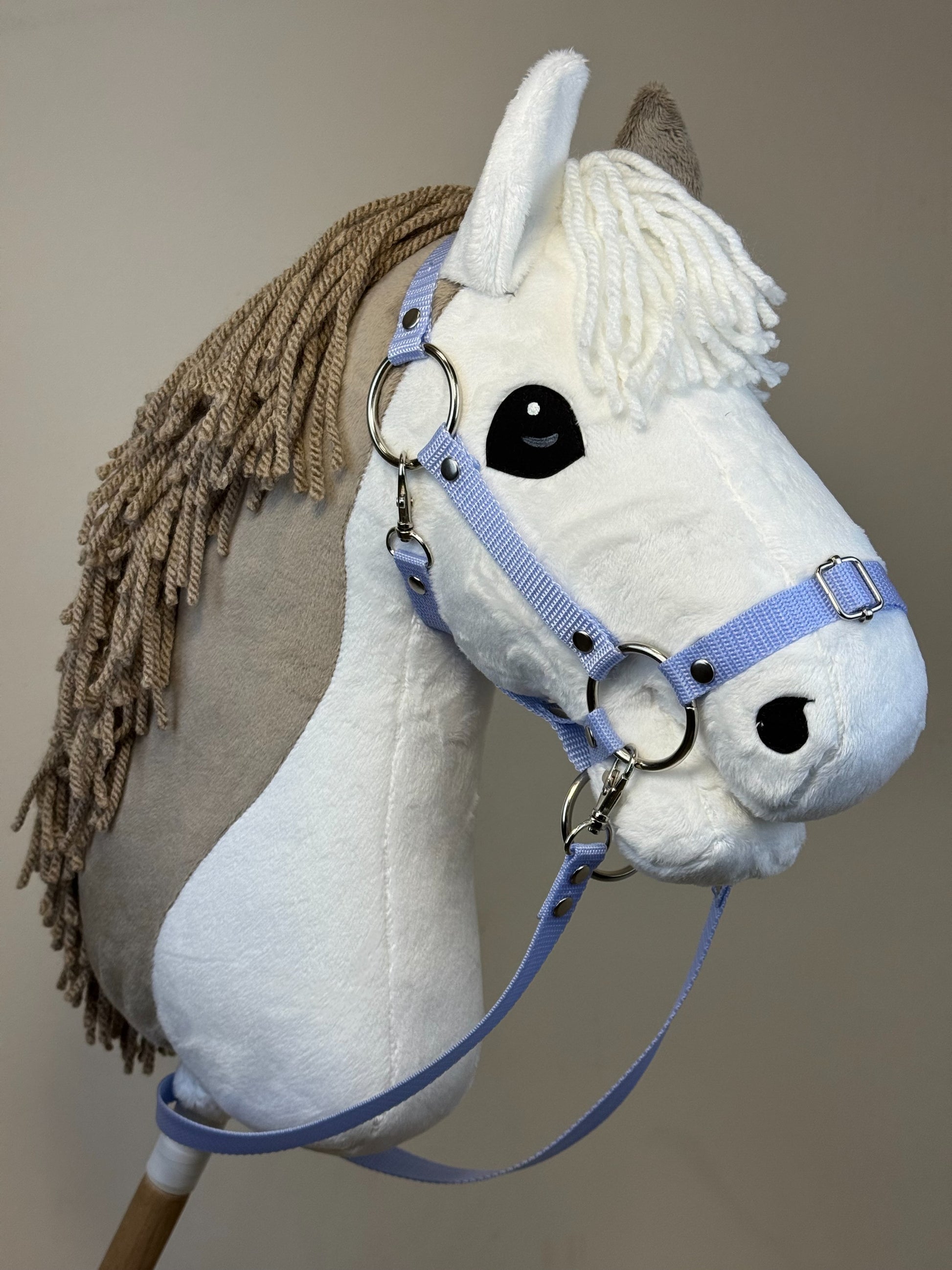 806f914b6952ec5b0a2f58e3b243fc0f