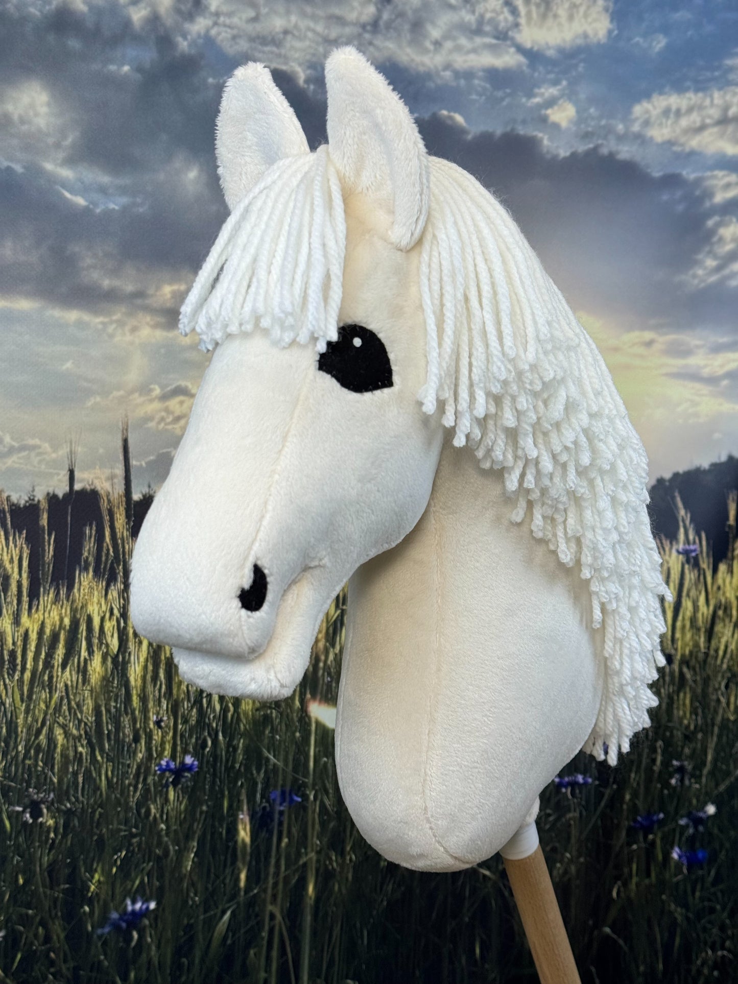 fcac29c5209b20161fe78c80e6adb647