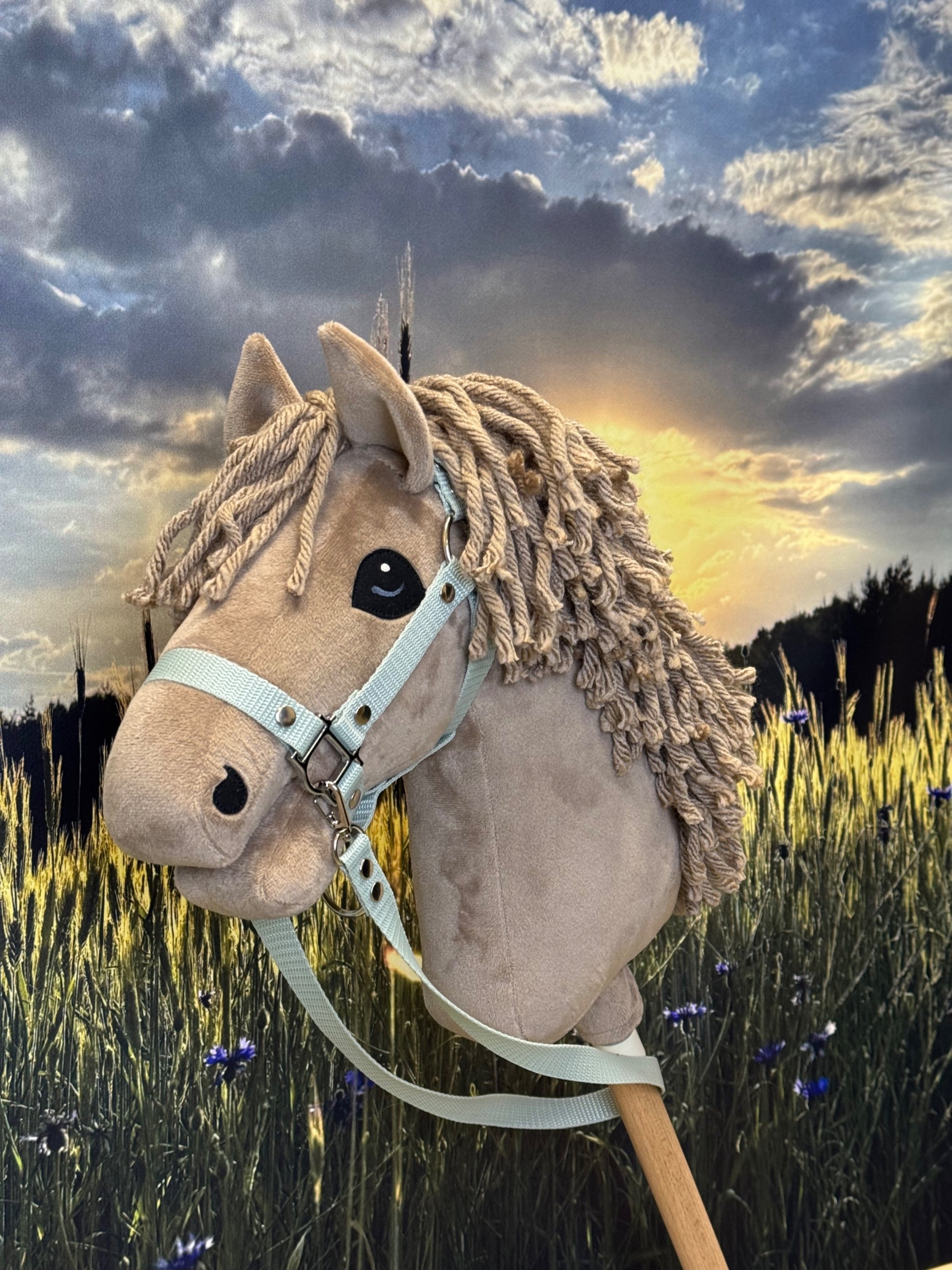 A4 Hobby Horse with detachable – KHT AURORA - Main Image
