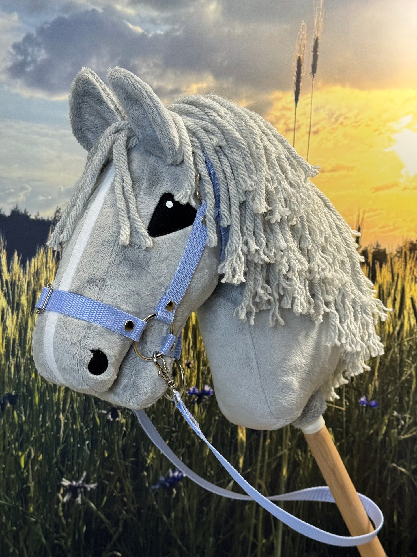 A3 Hobby horse artistic eyes. Gray with white blaze.