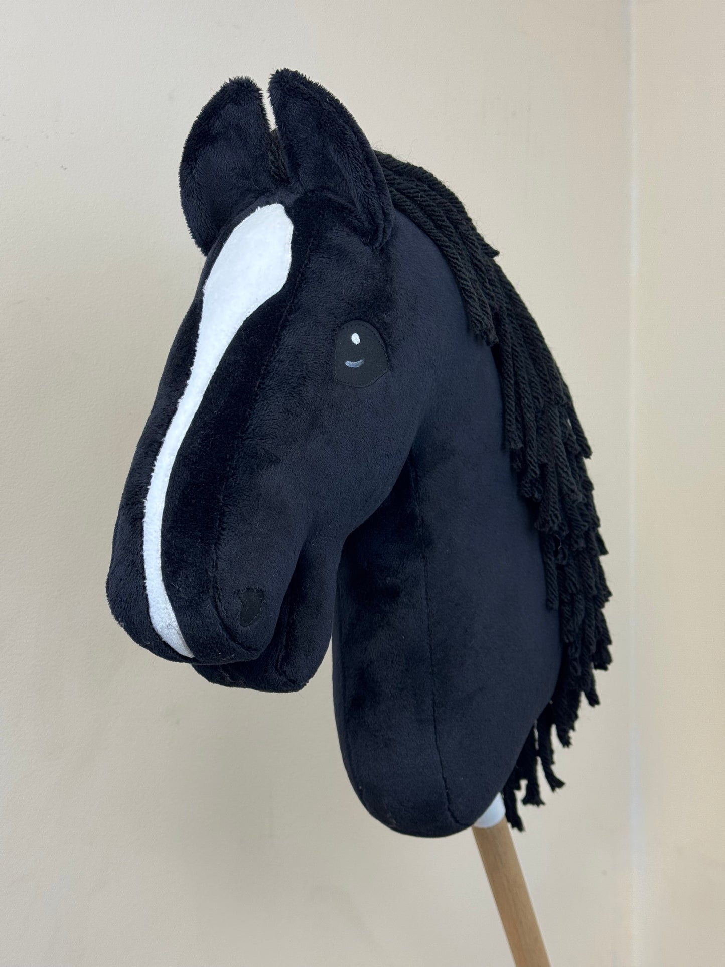 Hobby Horse A3. Black with white blaze.