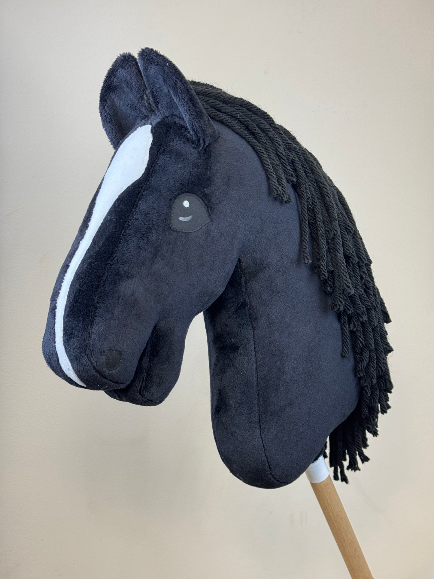 Hobby Horse A3. Black with white blaze.