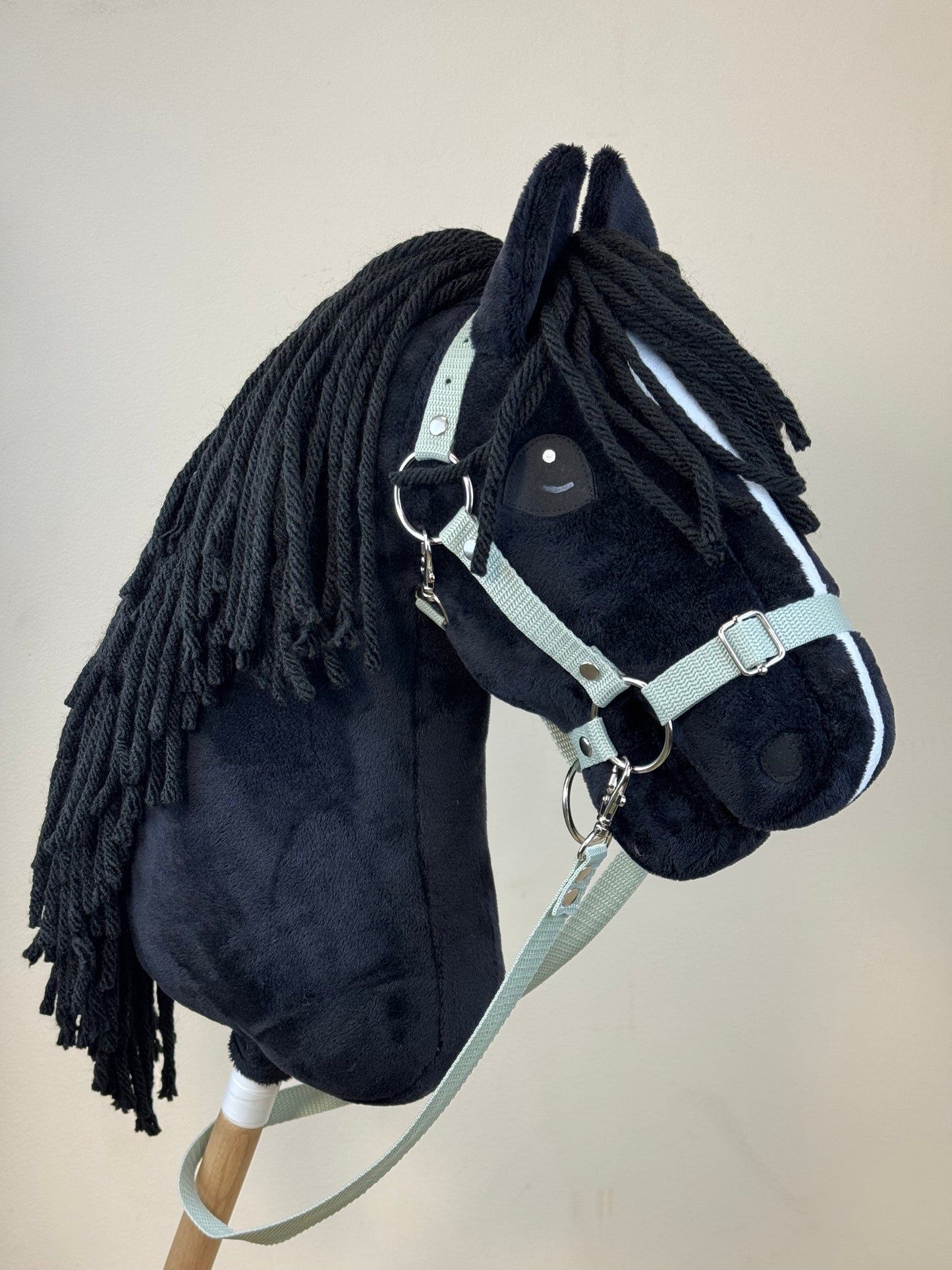 Hobby Horse A3. Black with white blaze.