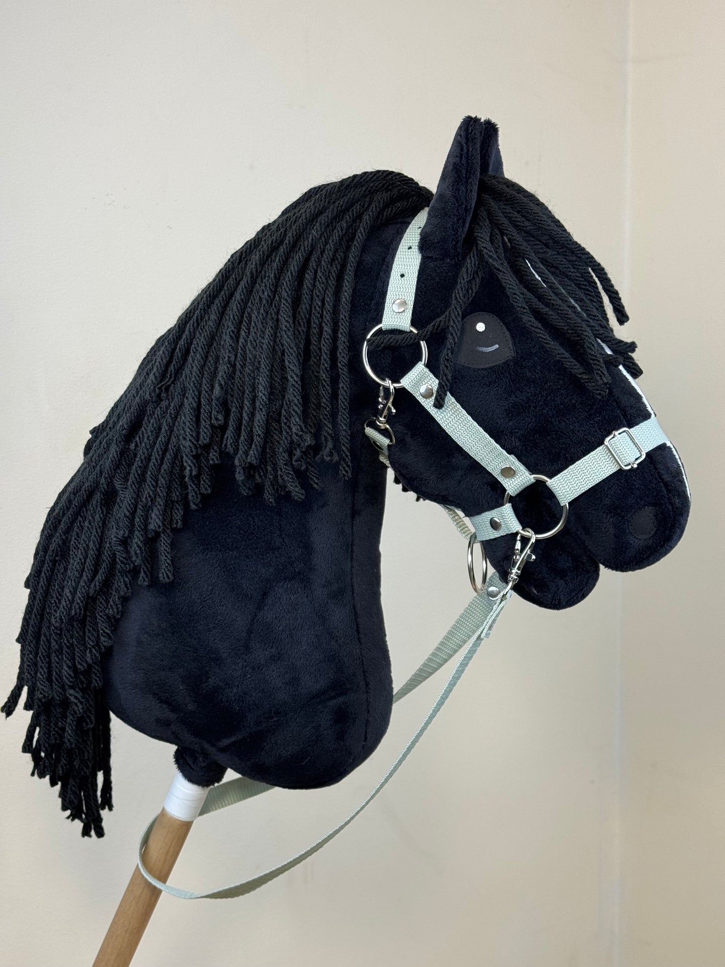 Hobby Horse A4. Black with white blaze.