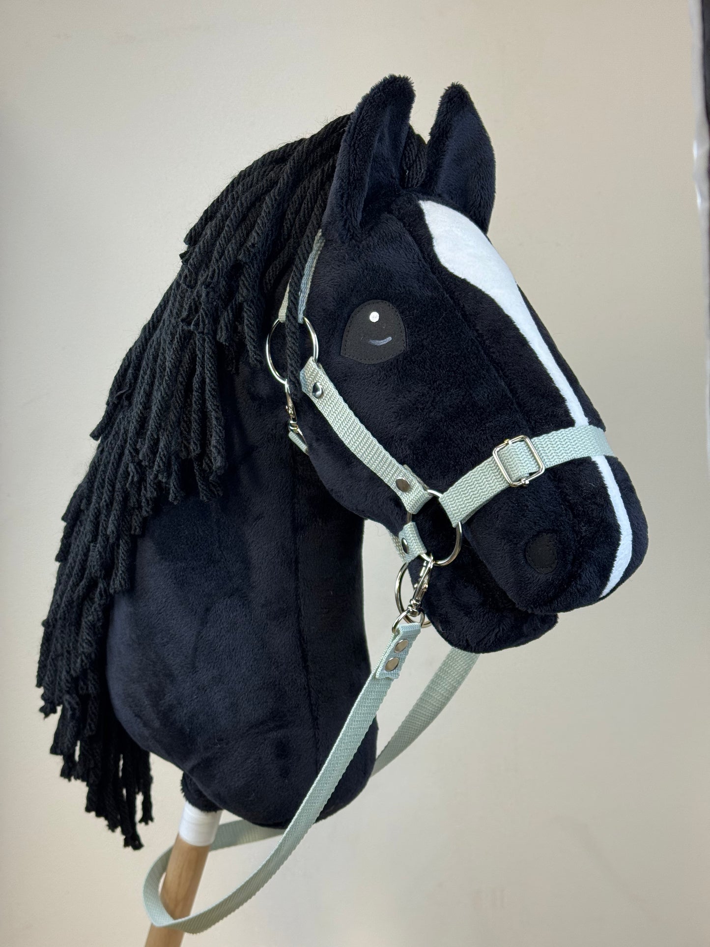 Hobby Horse A3. Black with white blaze.