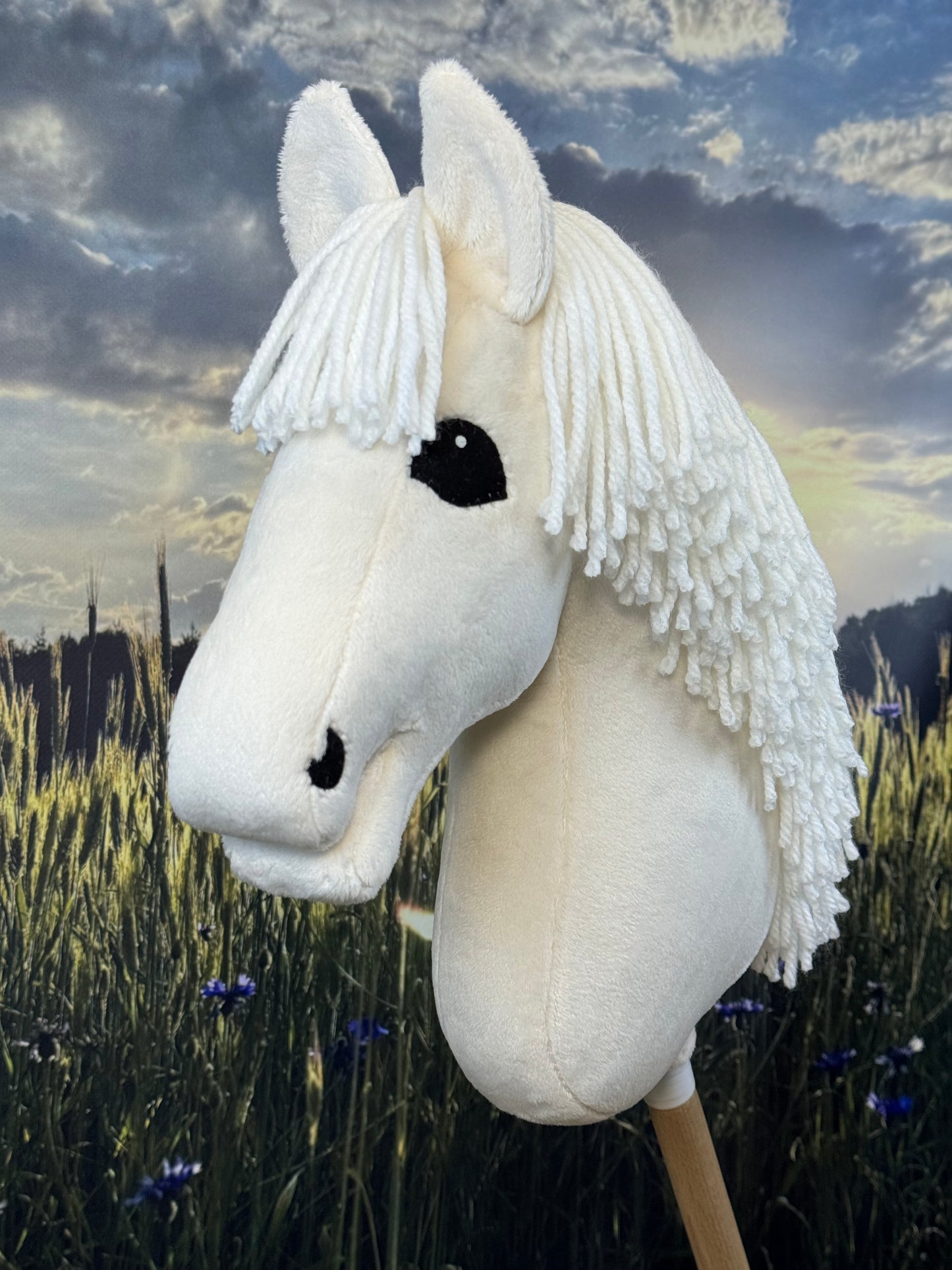 Palomino-Hobby Horse Creme. Realistisch. Größen A3, A4 und A5
