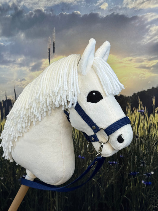 Cavallo Hobby Palomino. Realistico. Formati A3, A4 e A5.