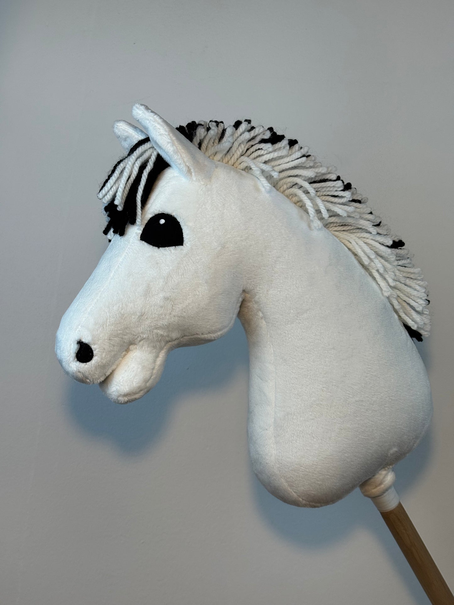 Cavallo hobby Fjord bianco norvegese. Realistico. Disponibile nei formati A3, A4 e A5.
