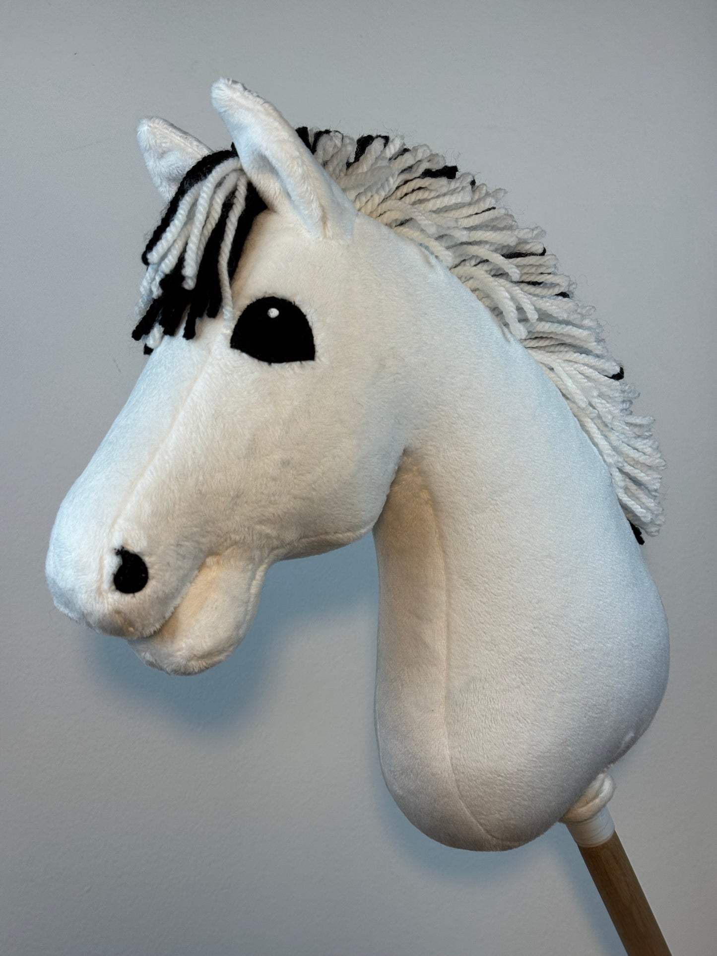 Cavallo hobby Fjord bianco norvegese. Realistico. Disponibile nei formati A3, A4 e A5.