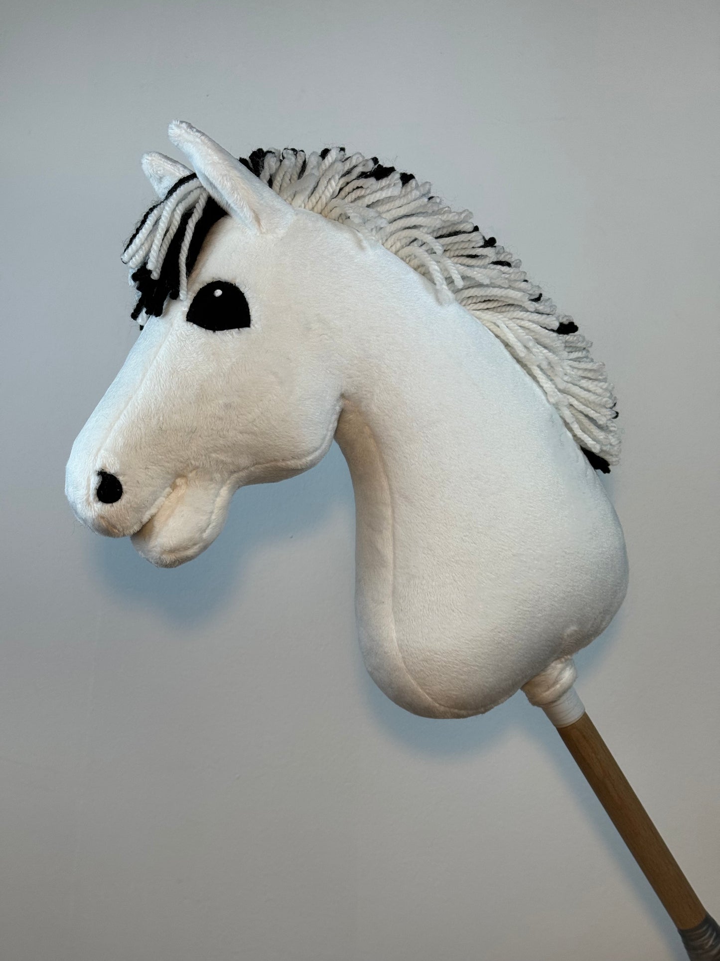 Cavallo hobby Fjord bianco norvegese. Realistico. Disponibile nei formati A3, A4 e A5.