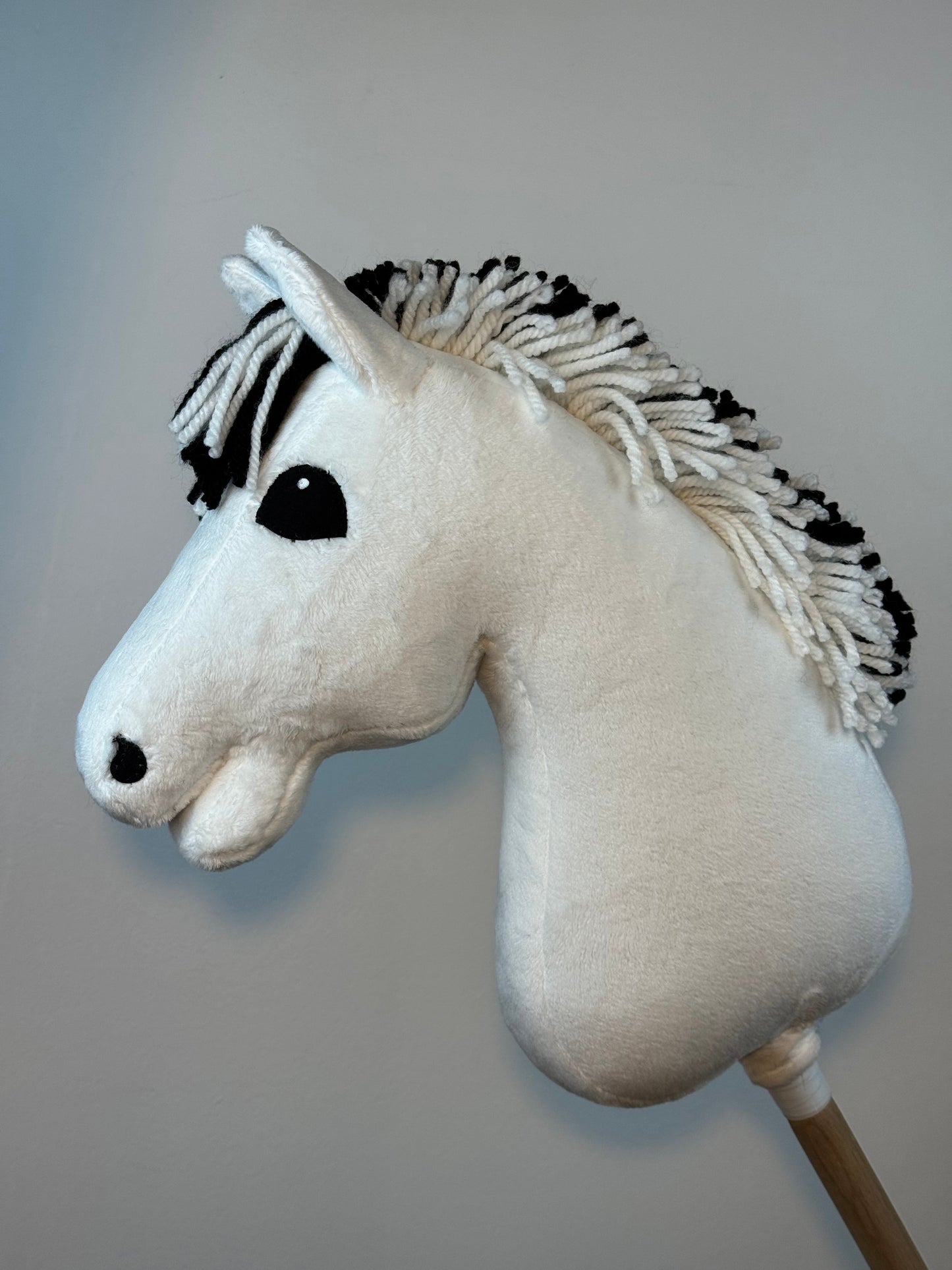 Cavallo hobby Fjord bianco norvegese. Realistico. Disponibile nei formati A3, A4 e A5.