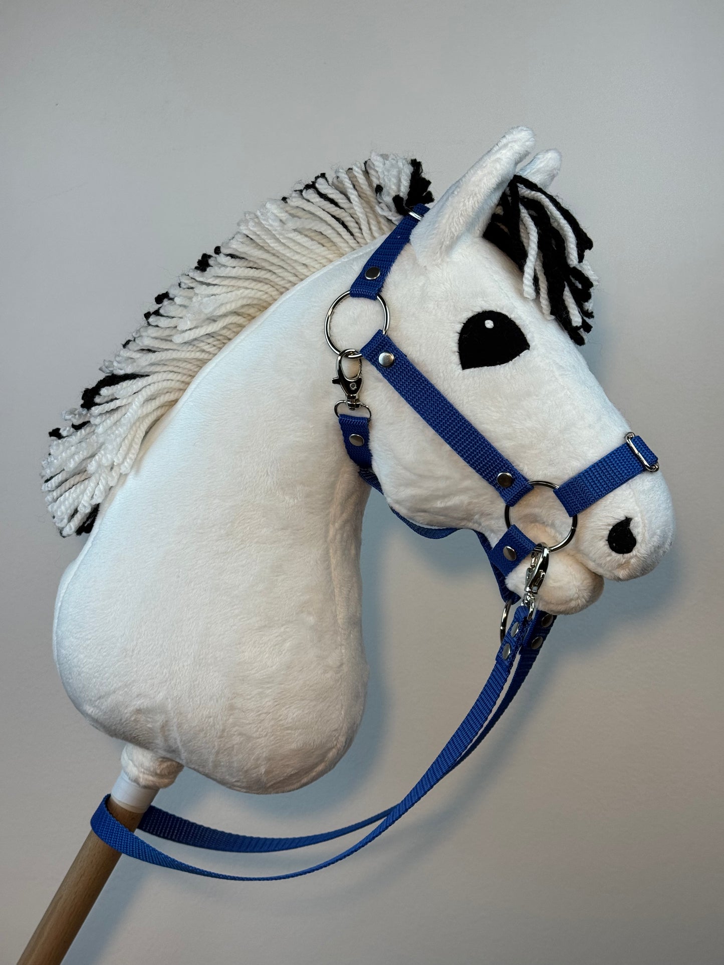Cavallo hobby Fjord bianco norvegese. Realistico. Disponibile nei formati A3, A4 e A5.