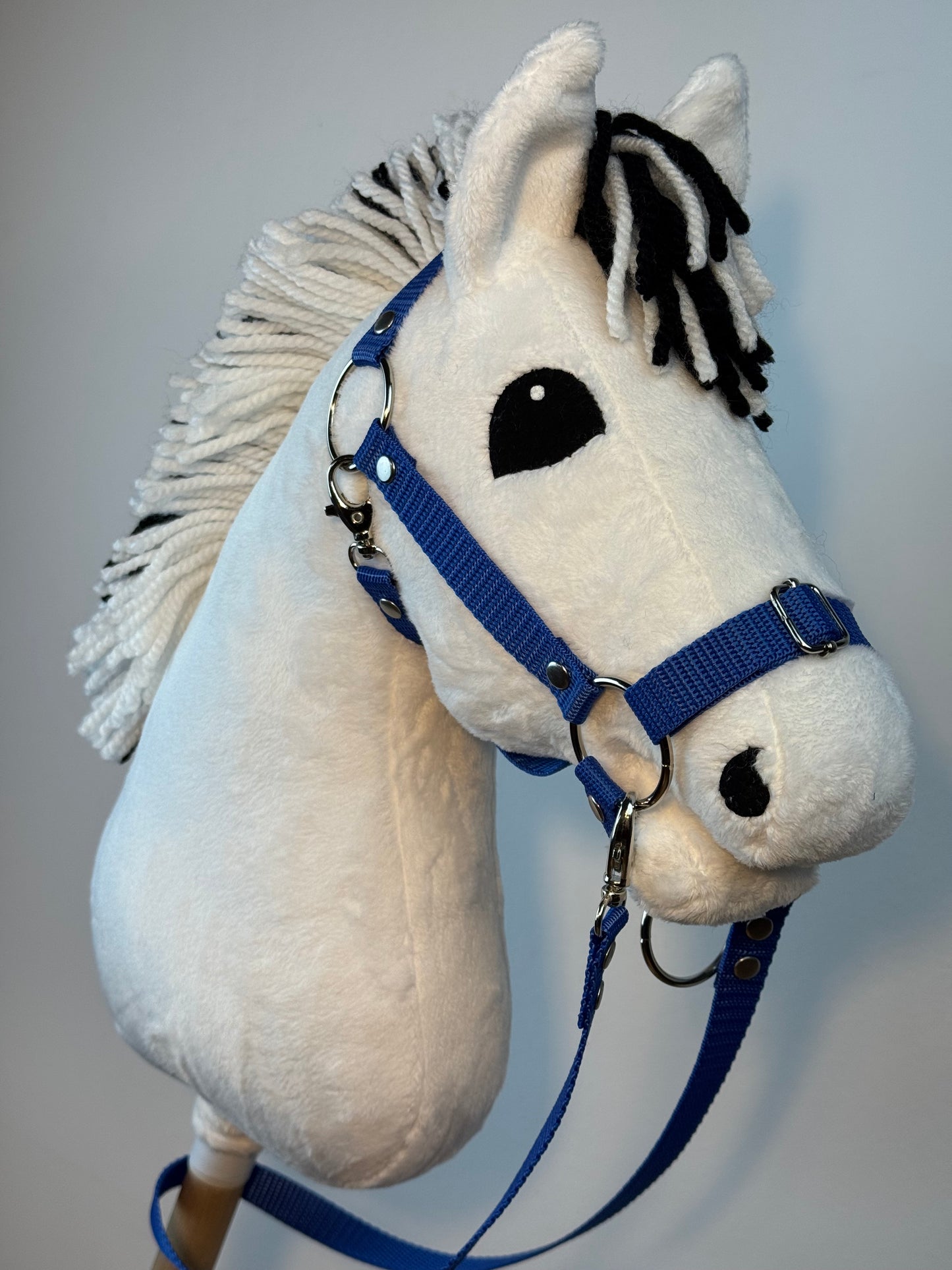 Cavallo hobby Fjord bianco norvegese. Realistico. Disponibile nei formati A3, A4 e A5.
