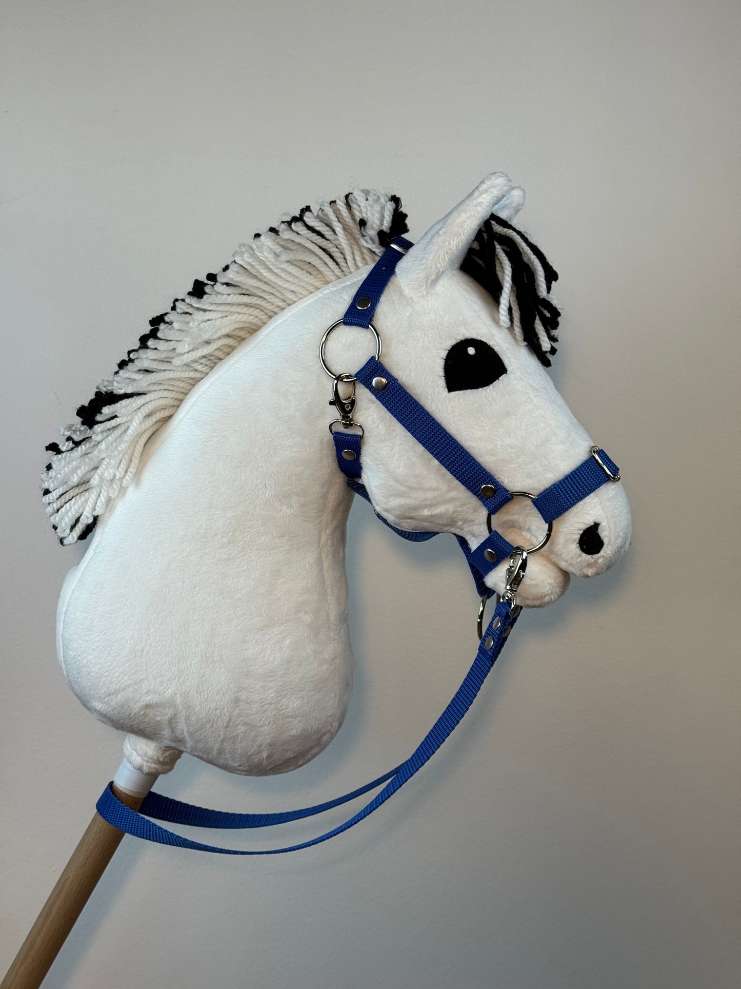 Cavallo hobby Fjord bianco norvegese. Realistico. Disponibile nei formati A3, A4 e A5.