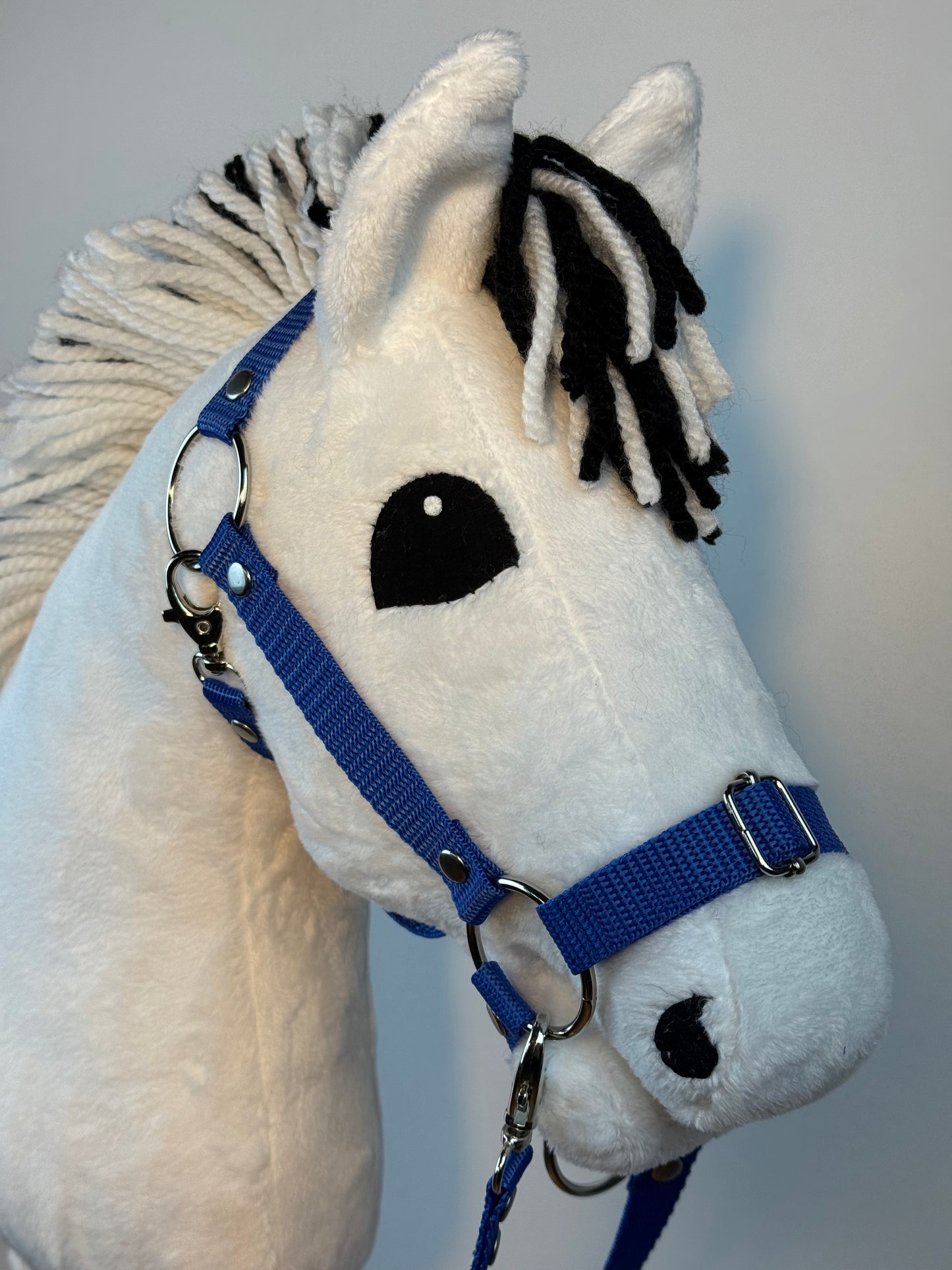 Cavallo hobby Fjord bianco norvegese. Realistico. Disponibile nei formati A3, A4 e A5.