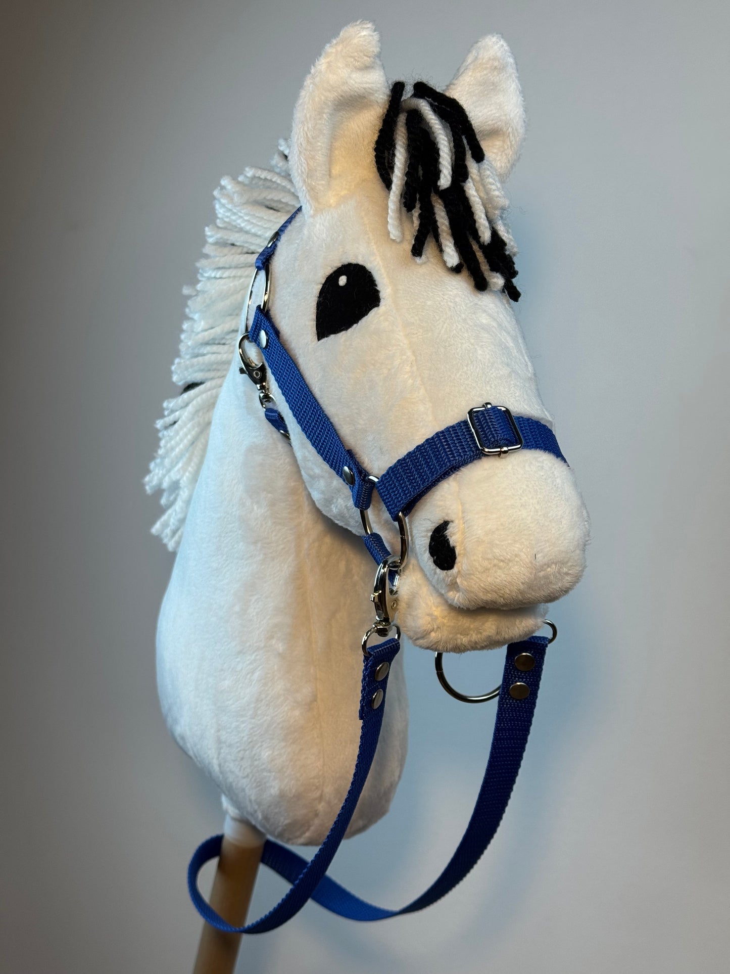 Cavallo hobby Fjord bianco norvegese. Realistico. Disponibile nei formati A3, A4 e A5.