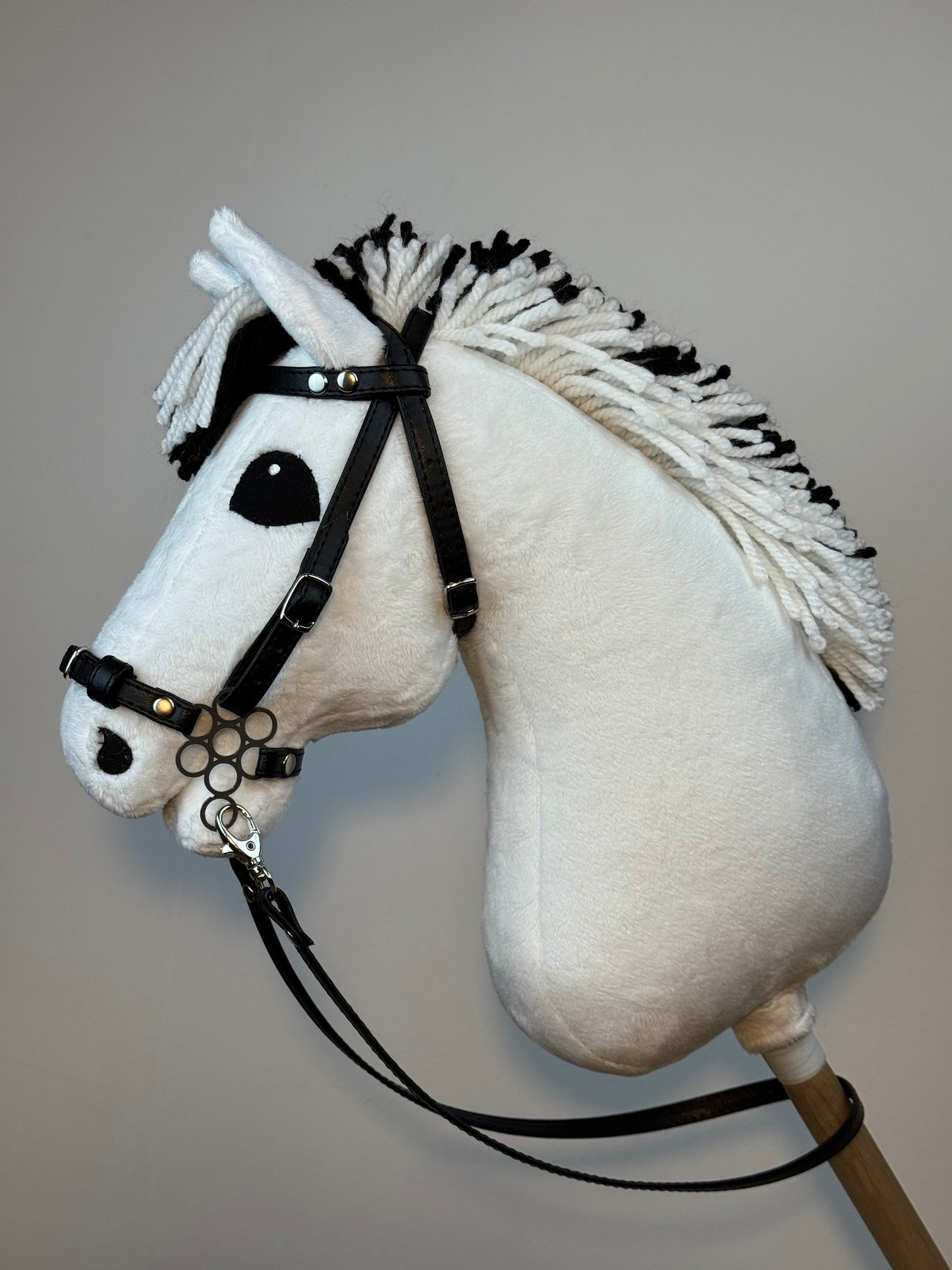 Cavallo hobby Fjord bianco norvegese. Realistico. Disponibile nei formati A3, A4 e A5.