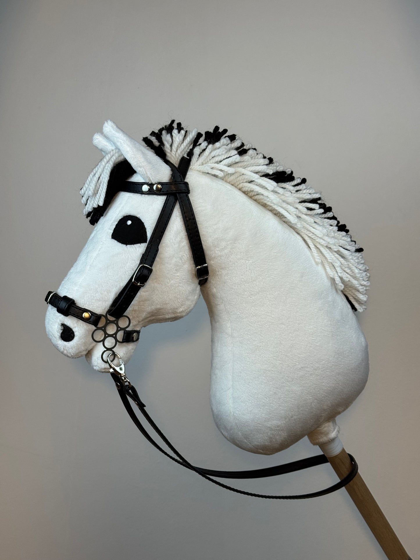 Cavallo hobby Fjord bianco norvegese. Realistico. Disponibile nei formati A3, A4 e A5.