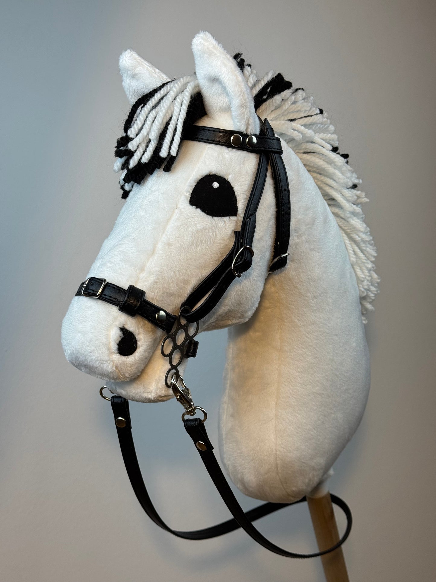 Cavallo hobby Fjord bianco norvegese. Realistico. Disponibile nei formati A3, A4 e A5.