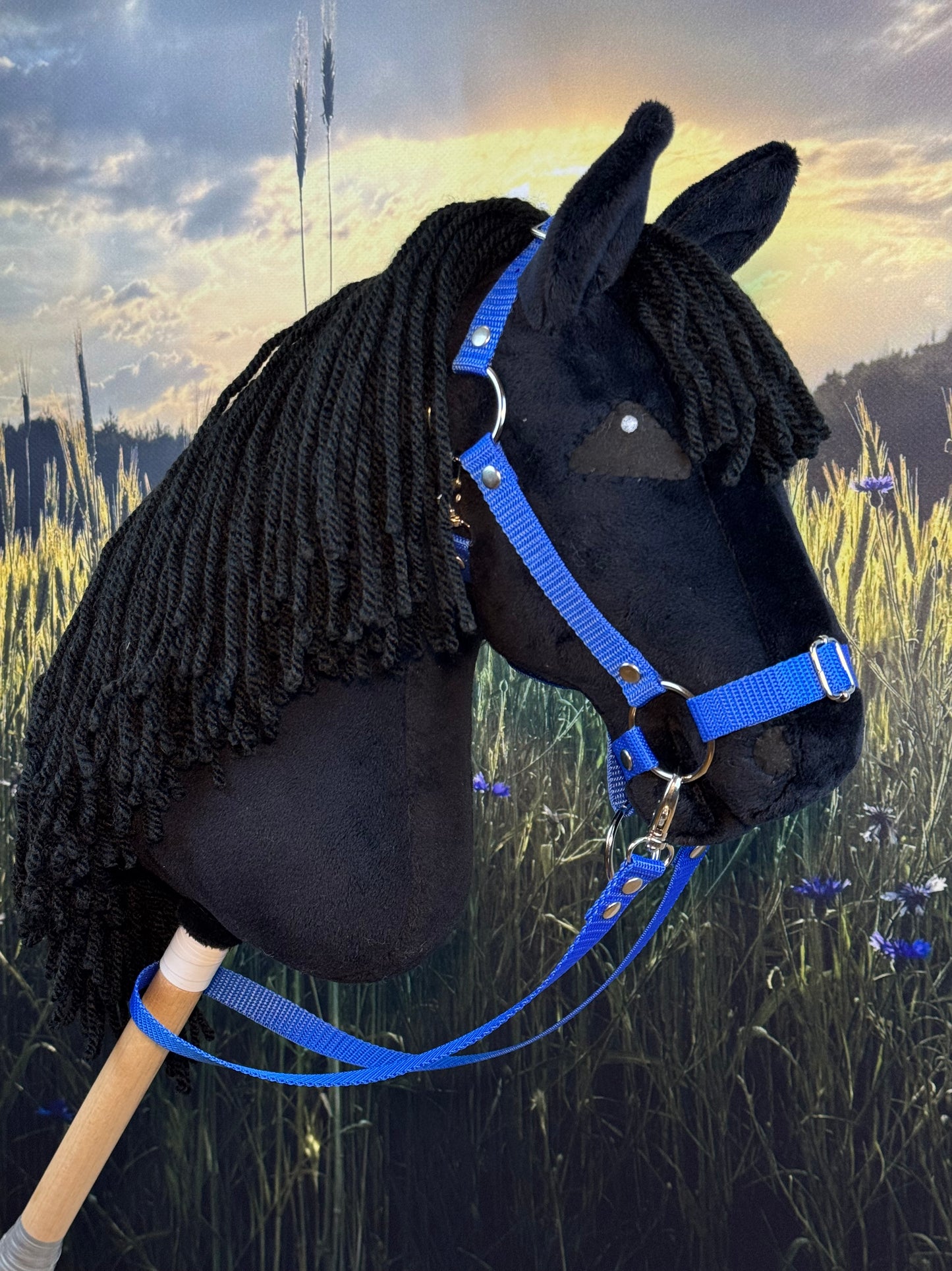 フリースランド種の黒い木馬。リアルなデザイン。A3、A4、A5サイズ。