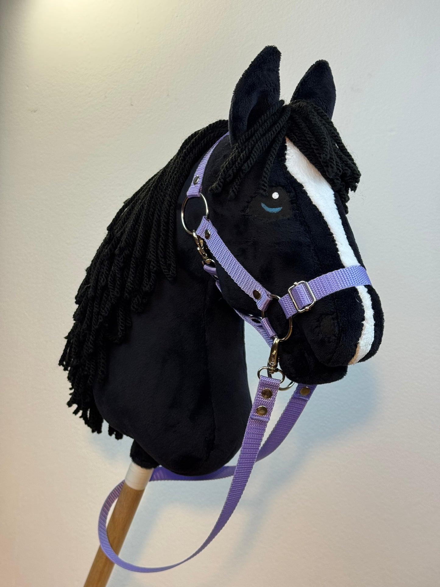 Black with White Blaze Friesian Hobby Horse. Realistic. A3, A4 and A5 sizes