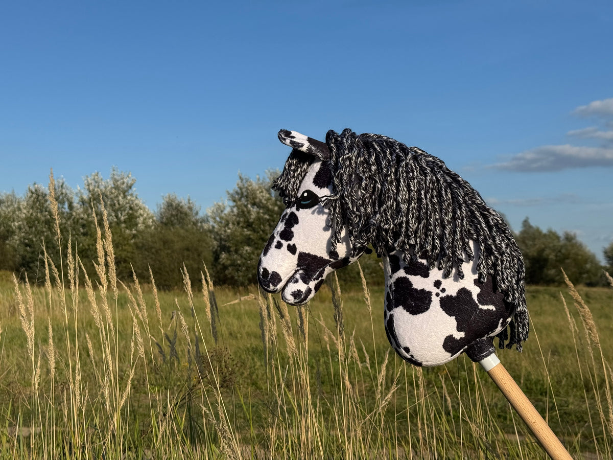Cavallo Hobby Pezzato Marrone e Bianco. Realistico. Formati A5, A4 e A3.
