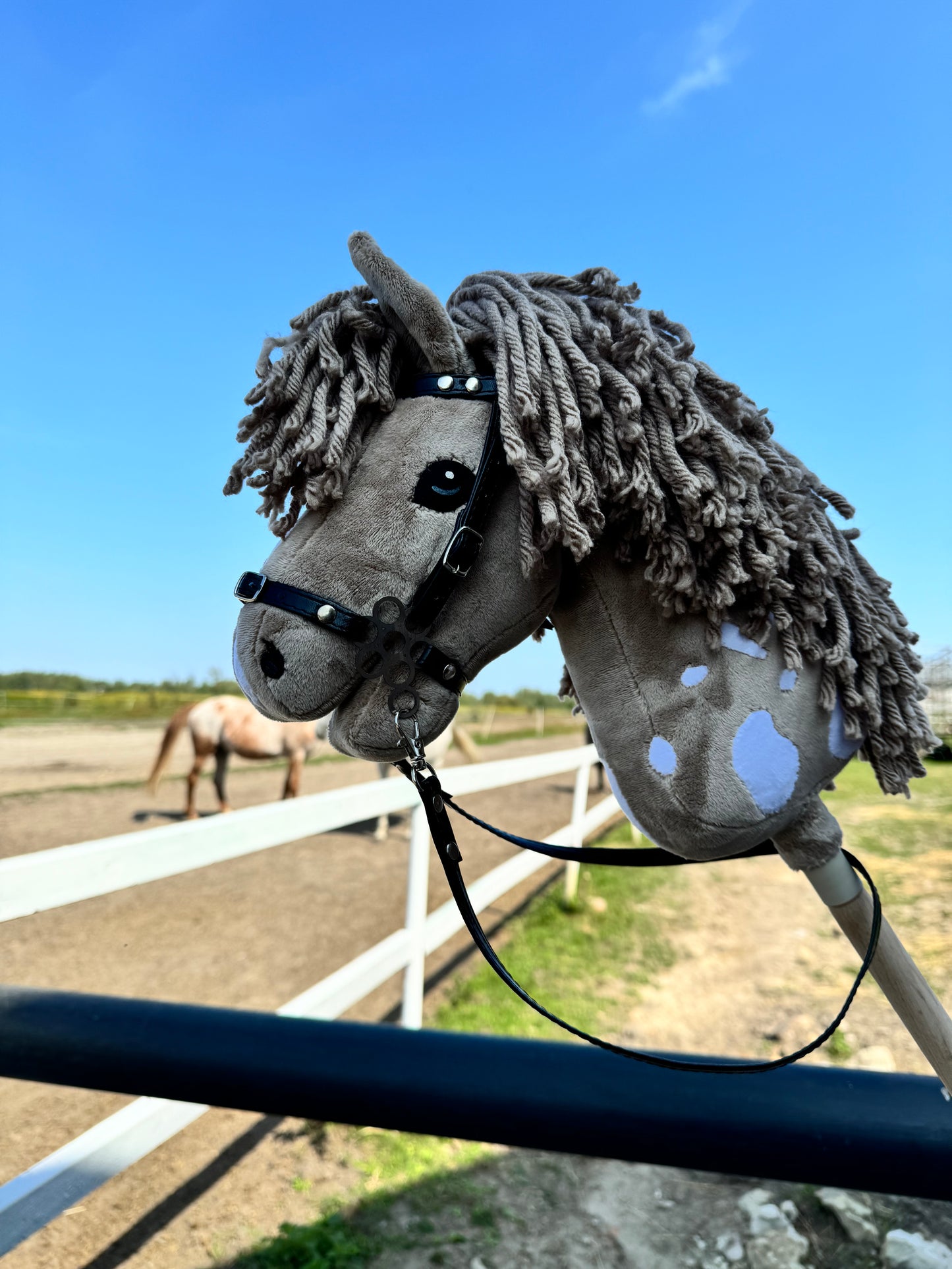 Hobby Horse A4 with detachable stick. Cappuccino Mokate.