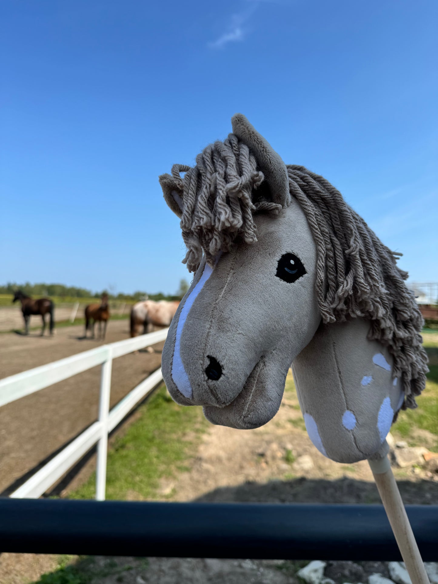 Hobby Horse A4 with detachable stick. Cappuccino Mokate.