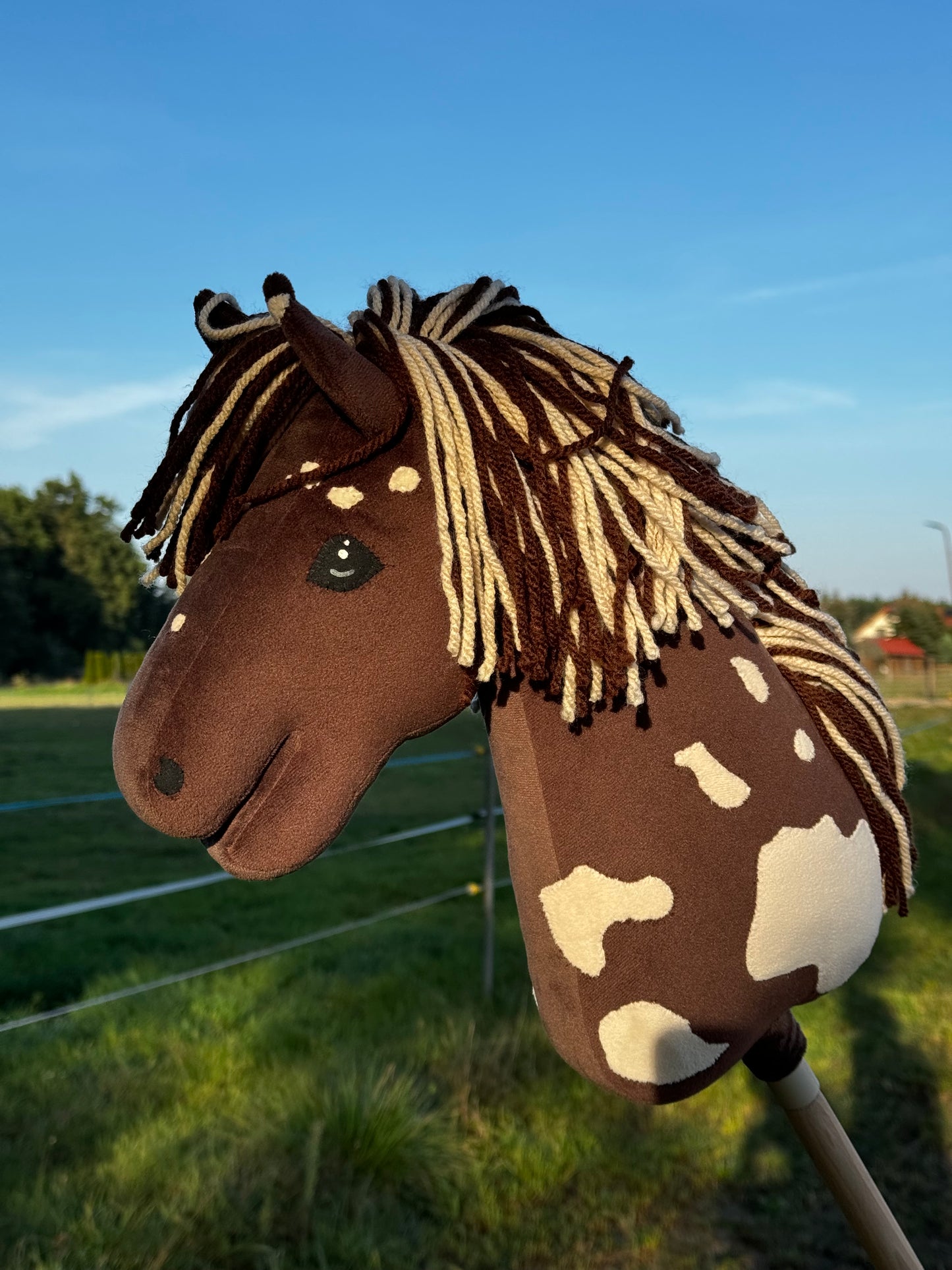 A3 hobby horse z odkręcanym patykiem. Choco.