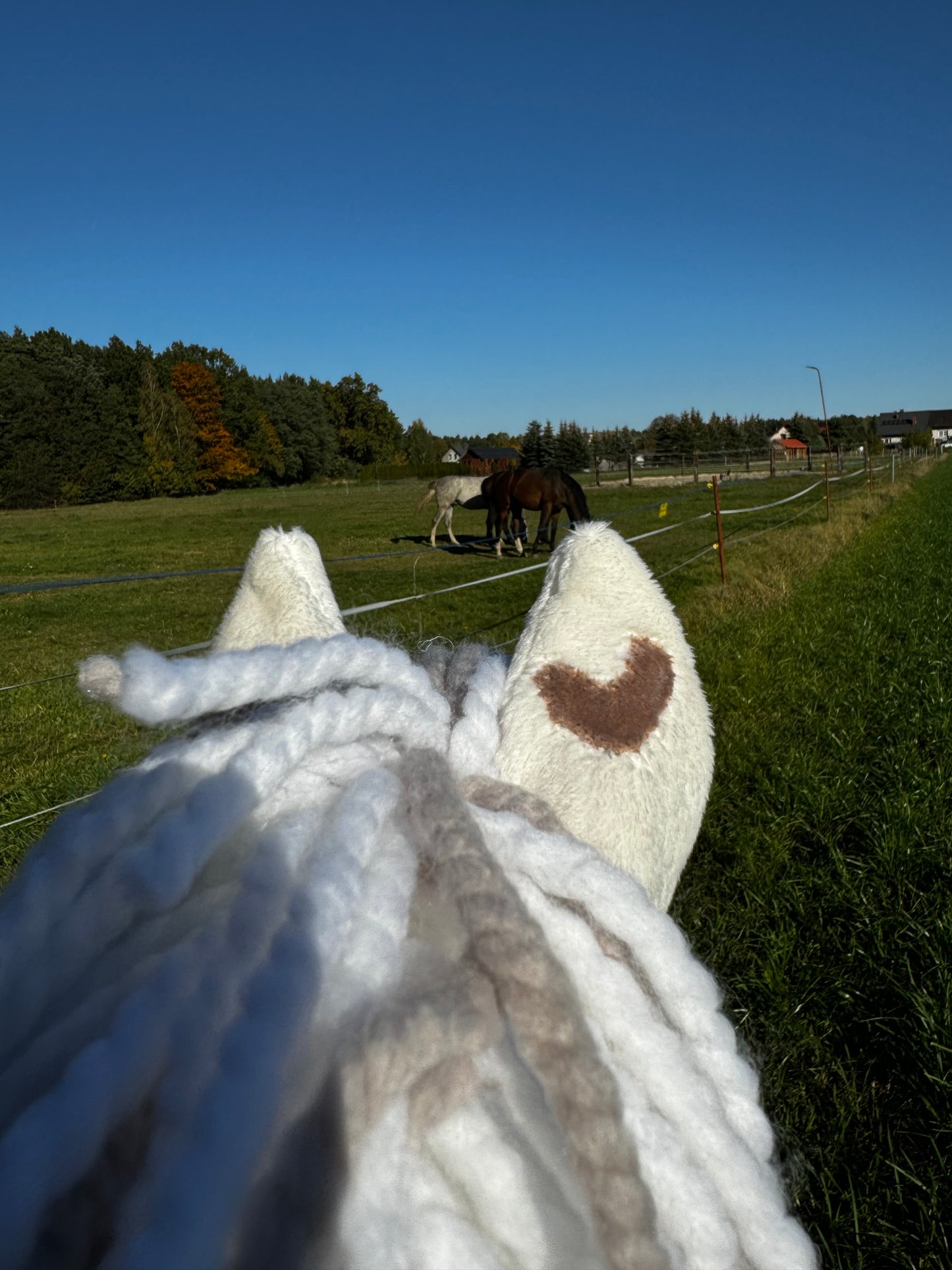 Hobby Horse A4 z odkręcanym patykiem. Wanilowe ciastko.