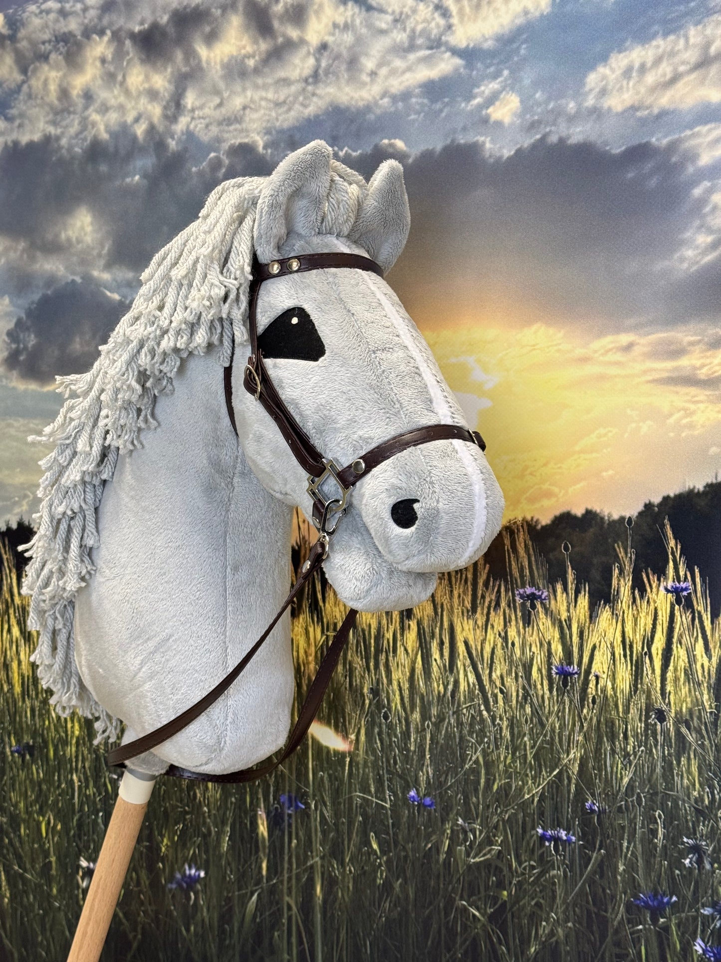 A4 Hobby Horse artystyczne oczy. Szary z białym paskiem.