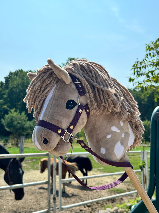 bc292a50e5d0d23c64ff564704114cad