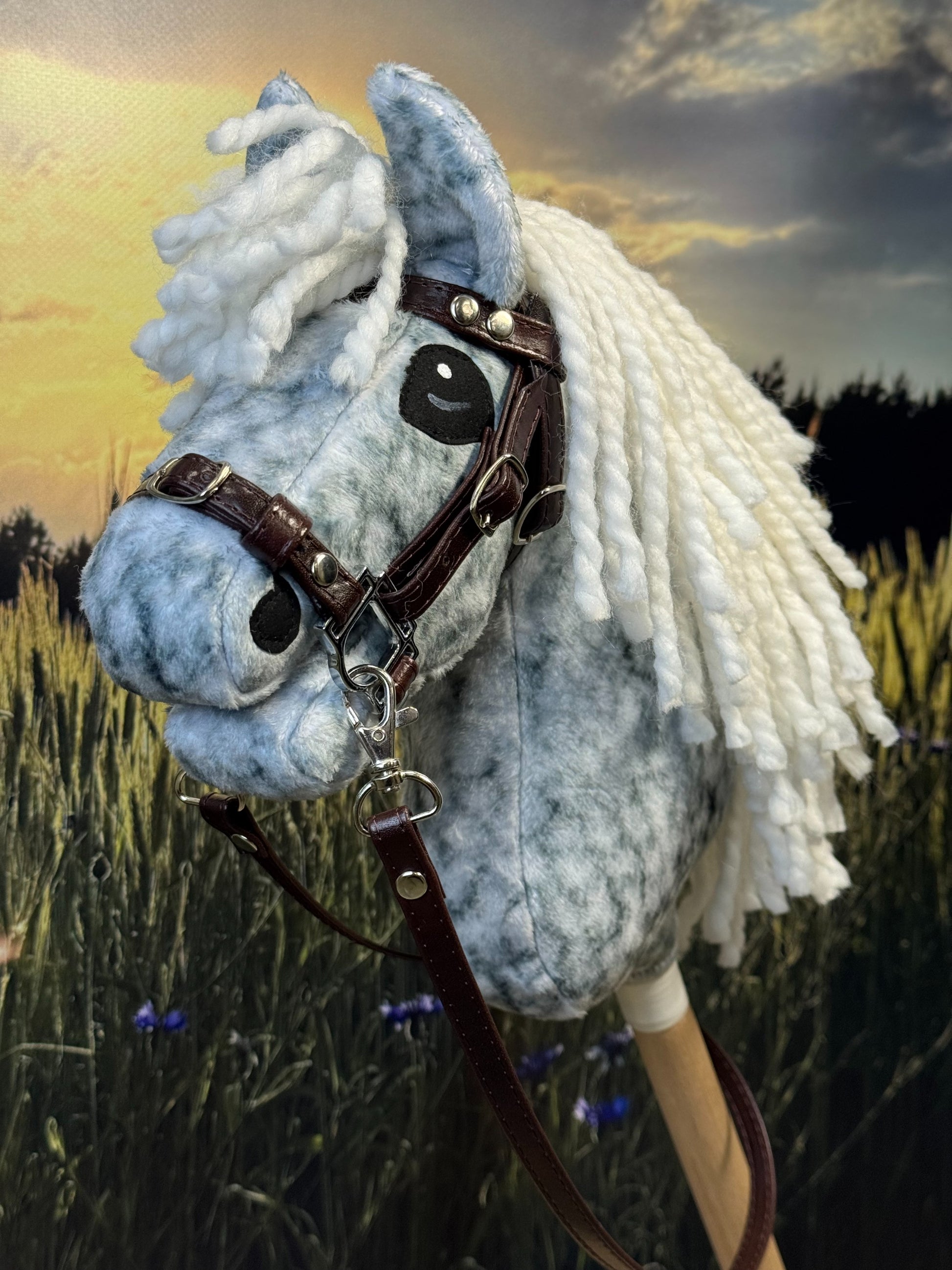 888d551f9a12fd652a78cc1b1e586483