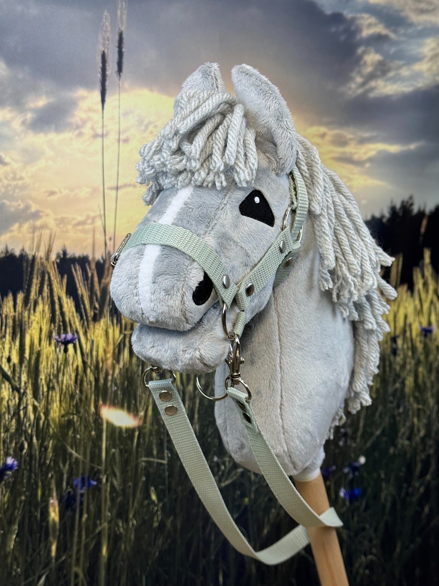 4250377ae0c4615a3b93277db7c2e721