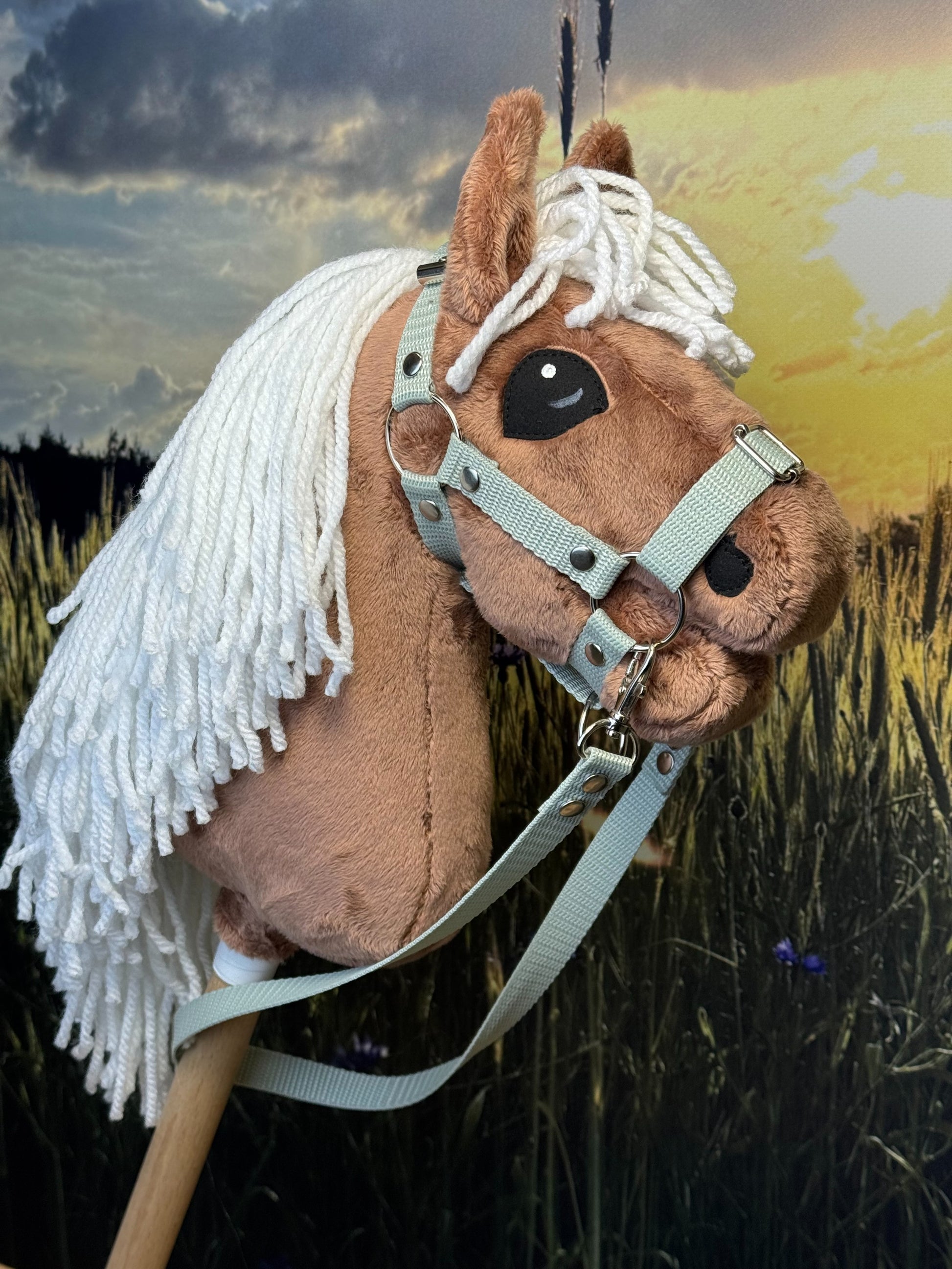 8979d7f7427a2af5d25b19bd41acd2d4